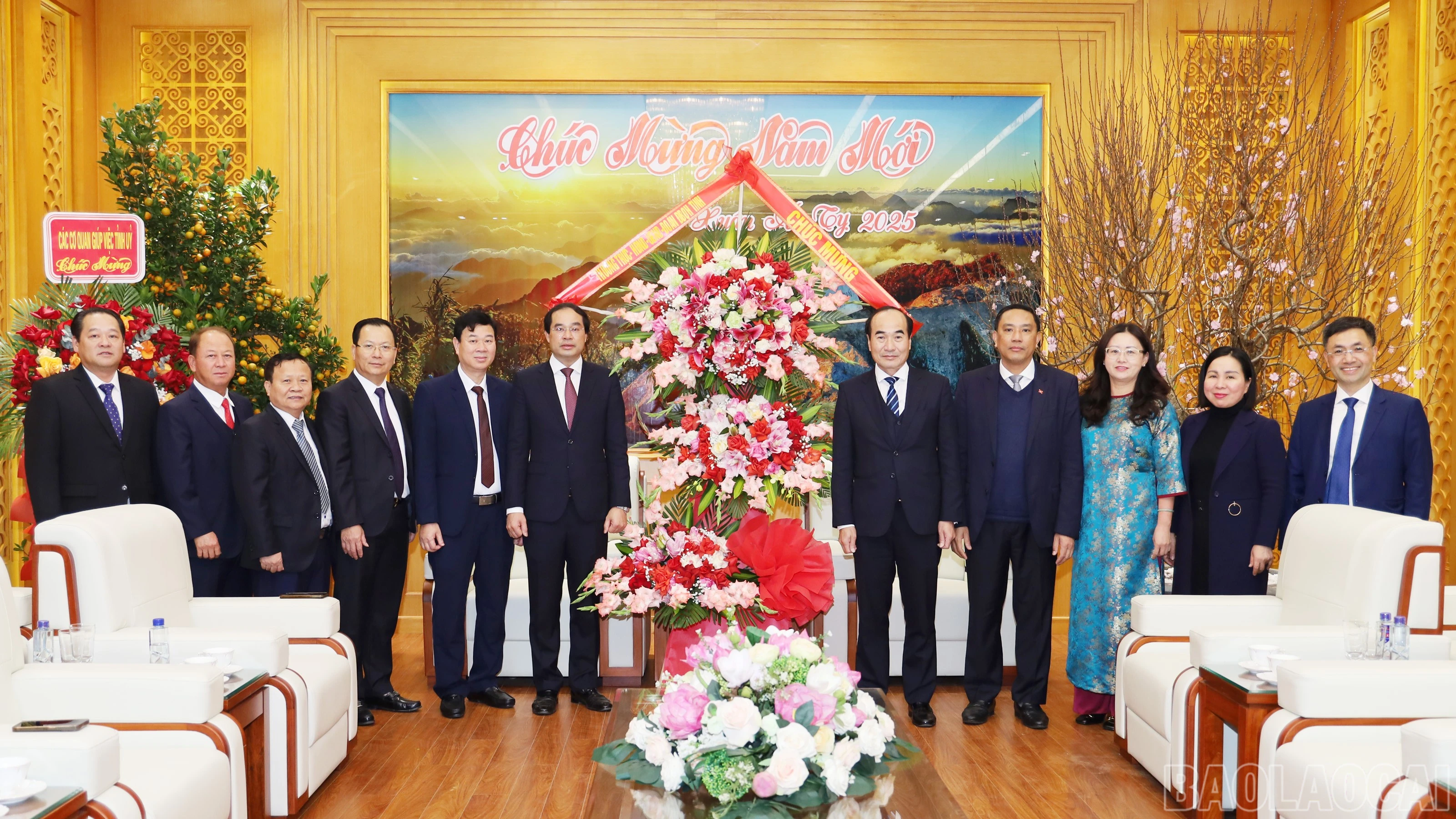 baolaocai-br_169.jpg