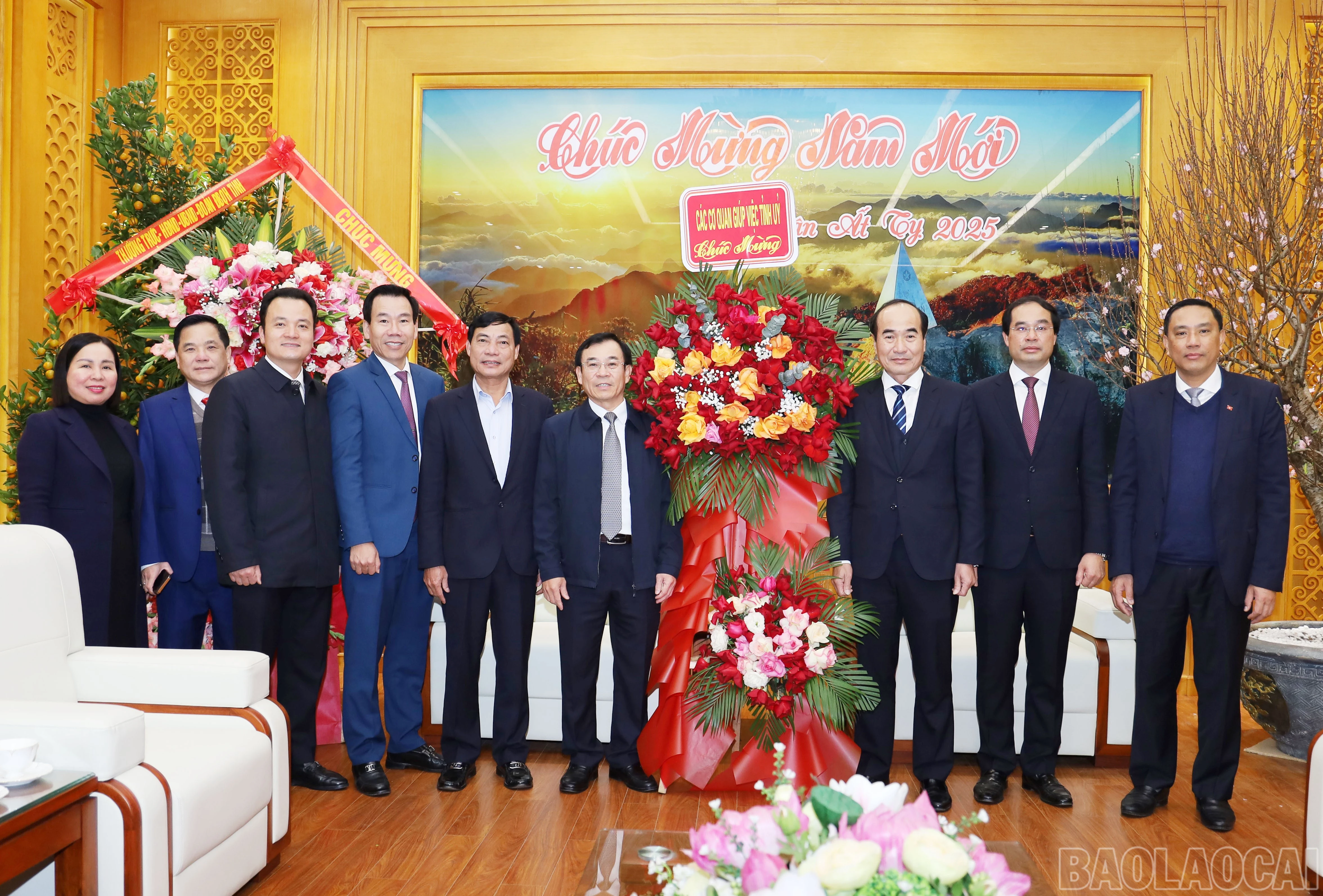 baolaocai-br_320.jpg