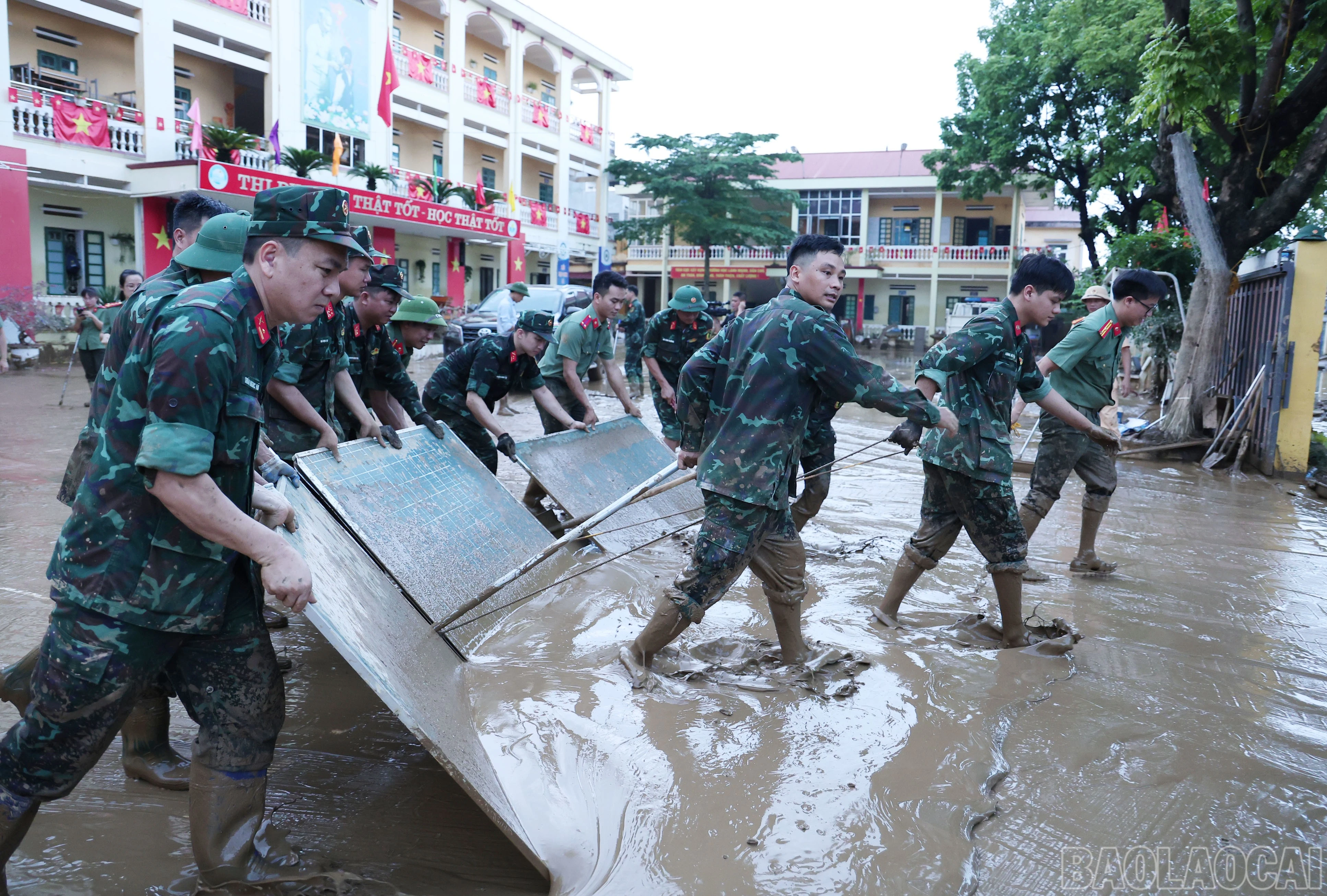 baolaocai-br_img-3992.jpg