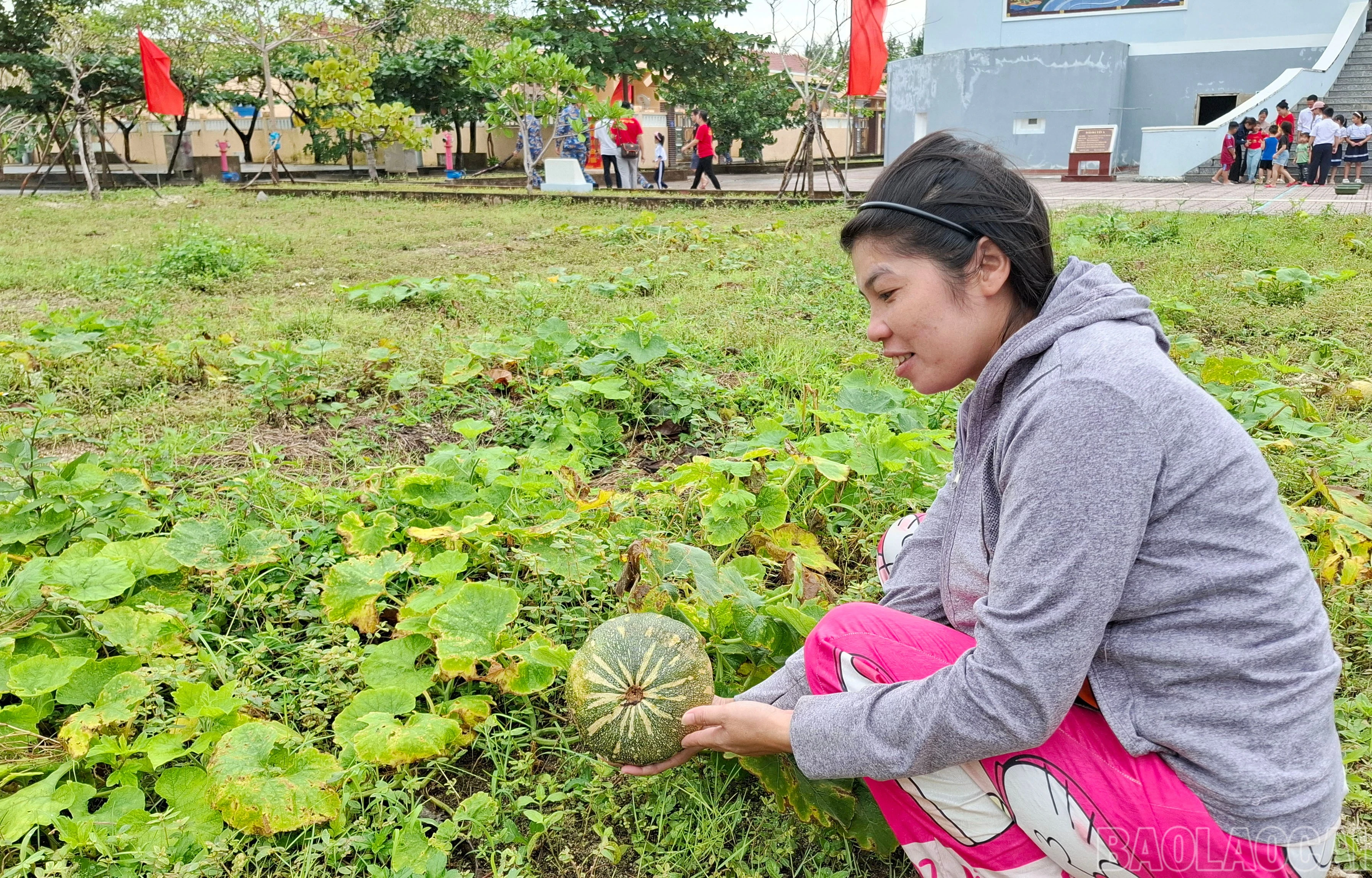 baolaocai-br_83423.jpg