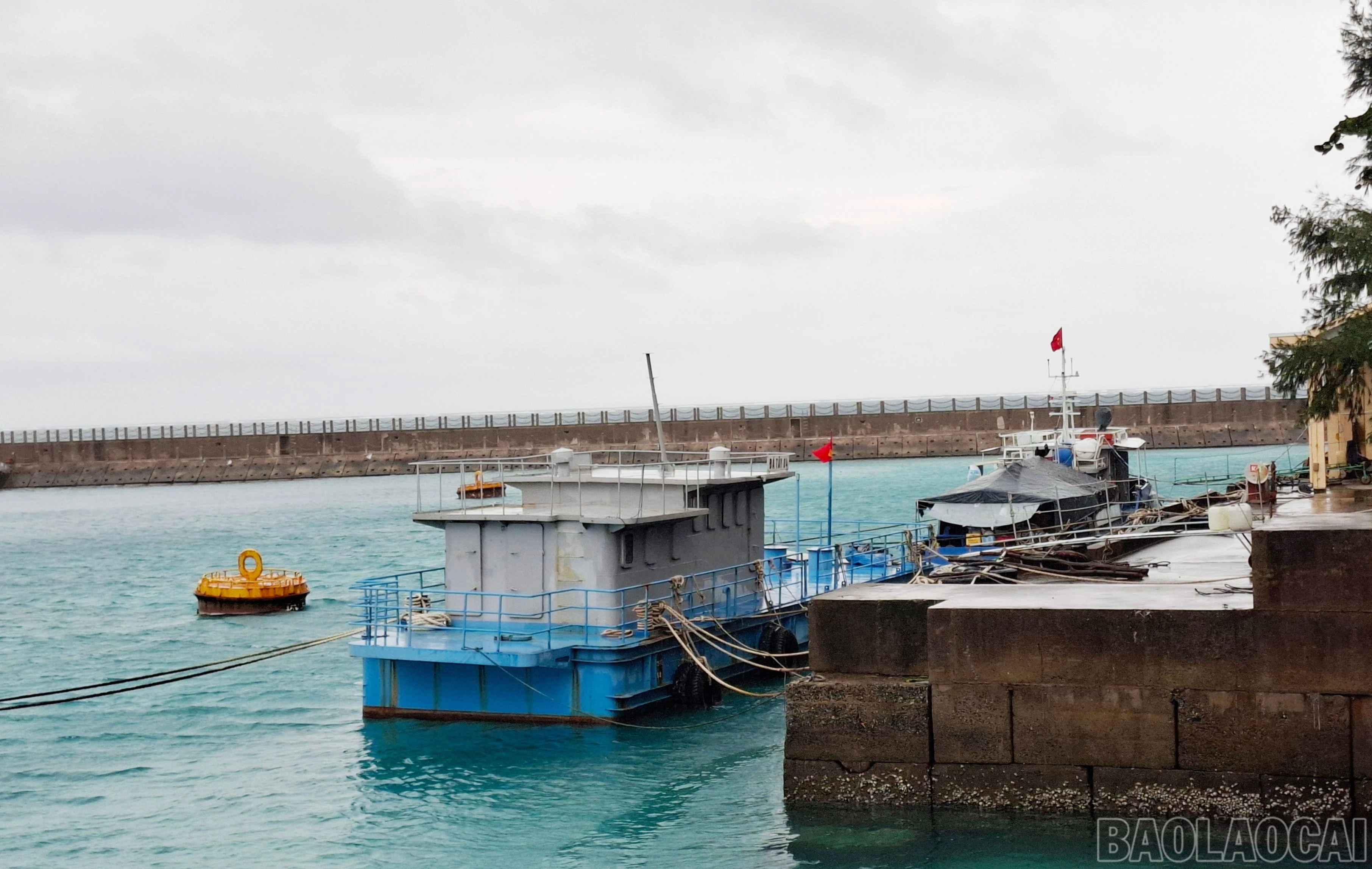 baolaocai-br_1602.jpg