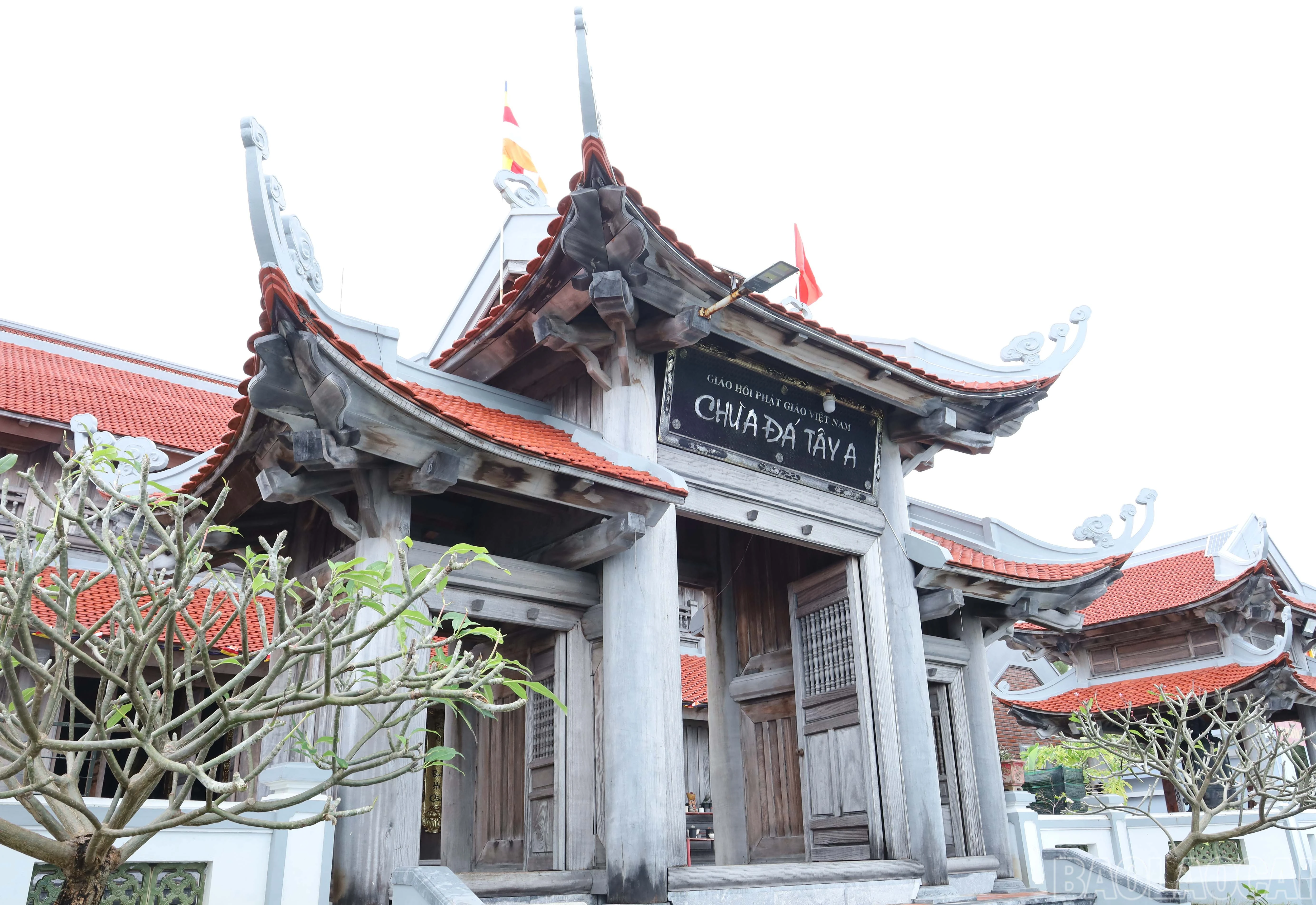 baolaocai-br_9865.jpg