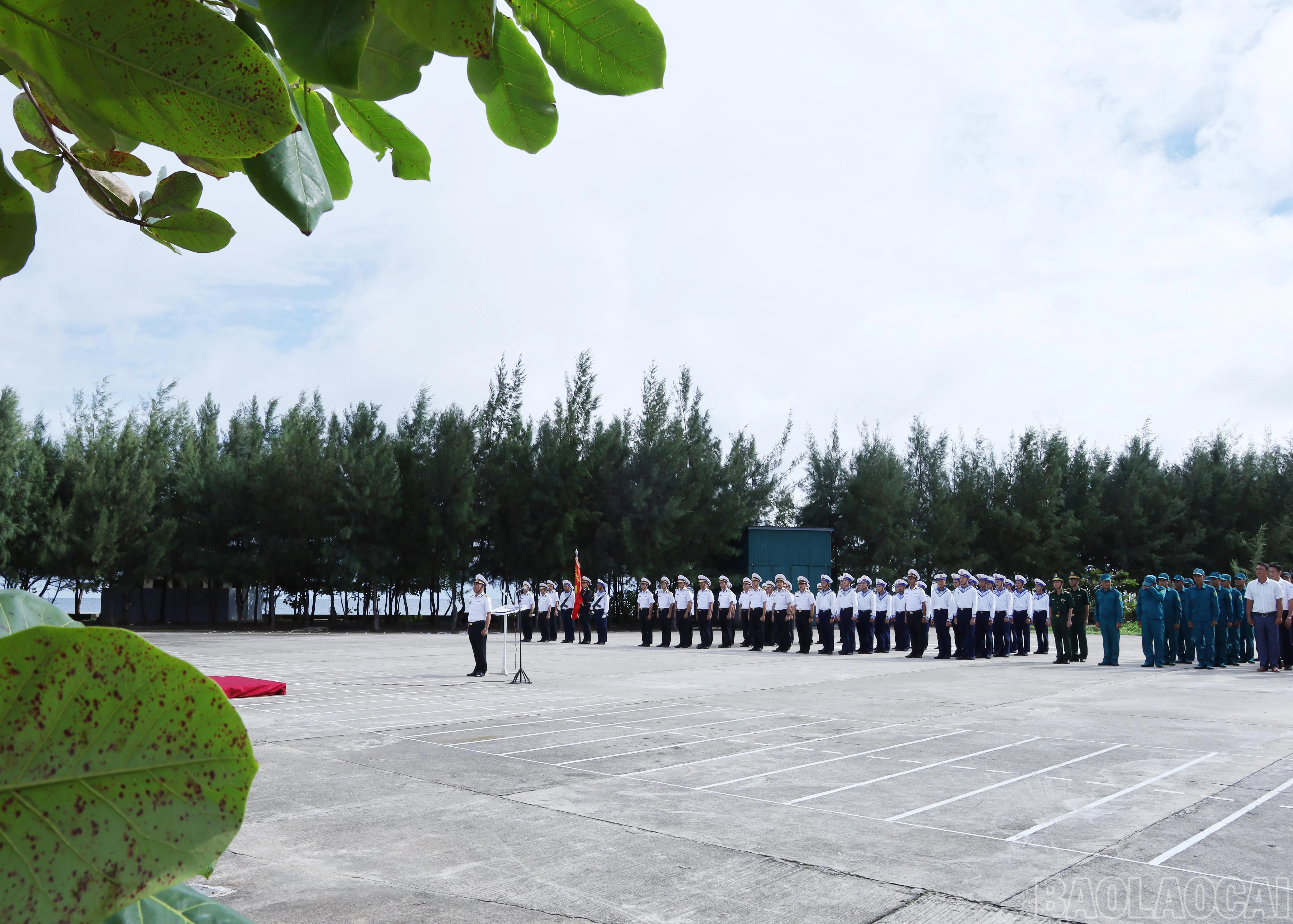 baolaocai-br_8067.jpg