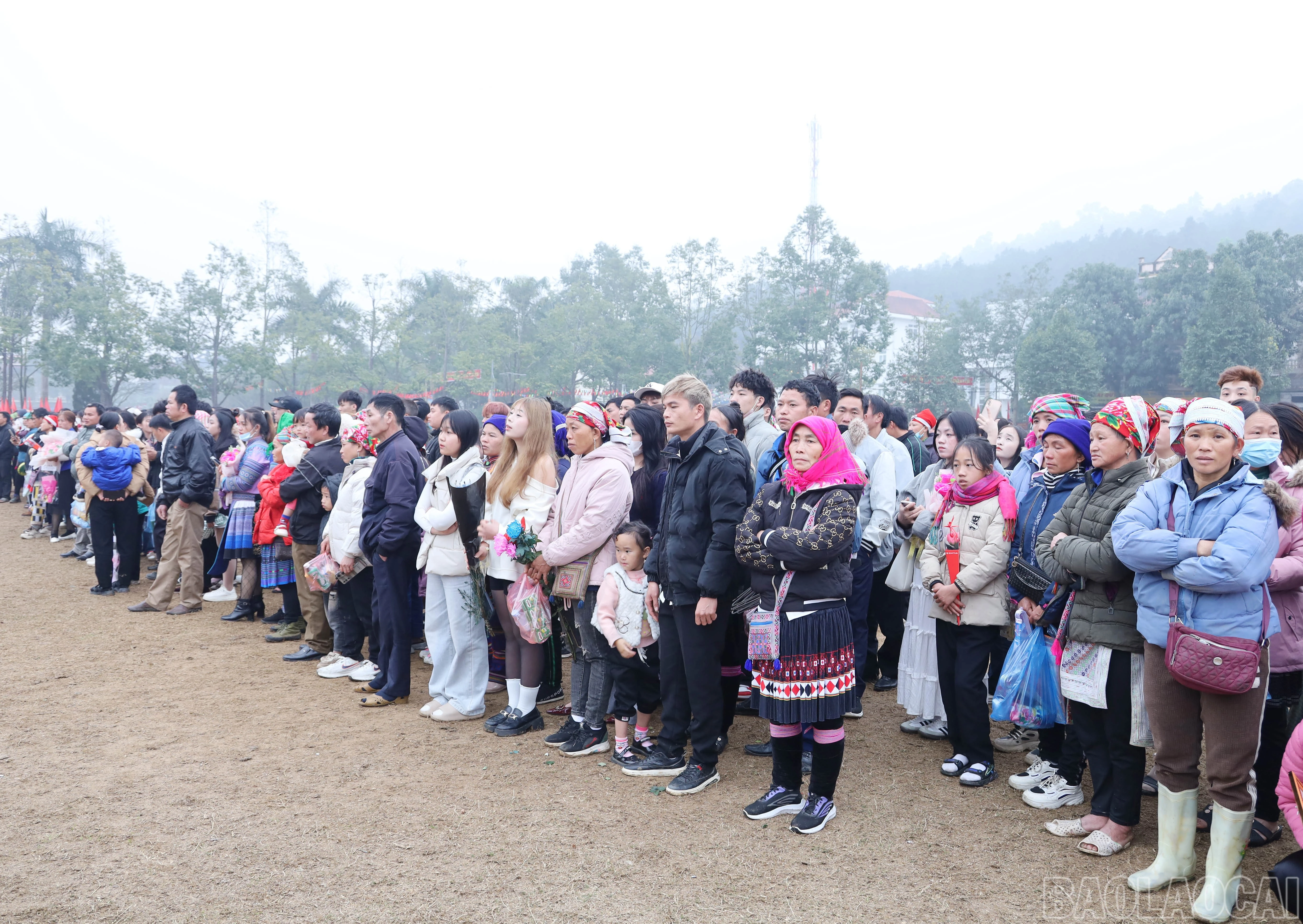 baolaocai-br_0037.jpg
