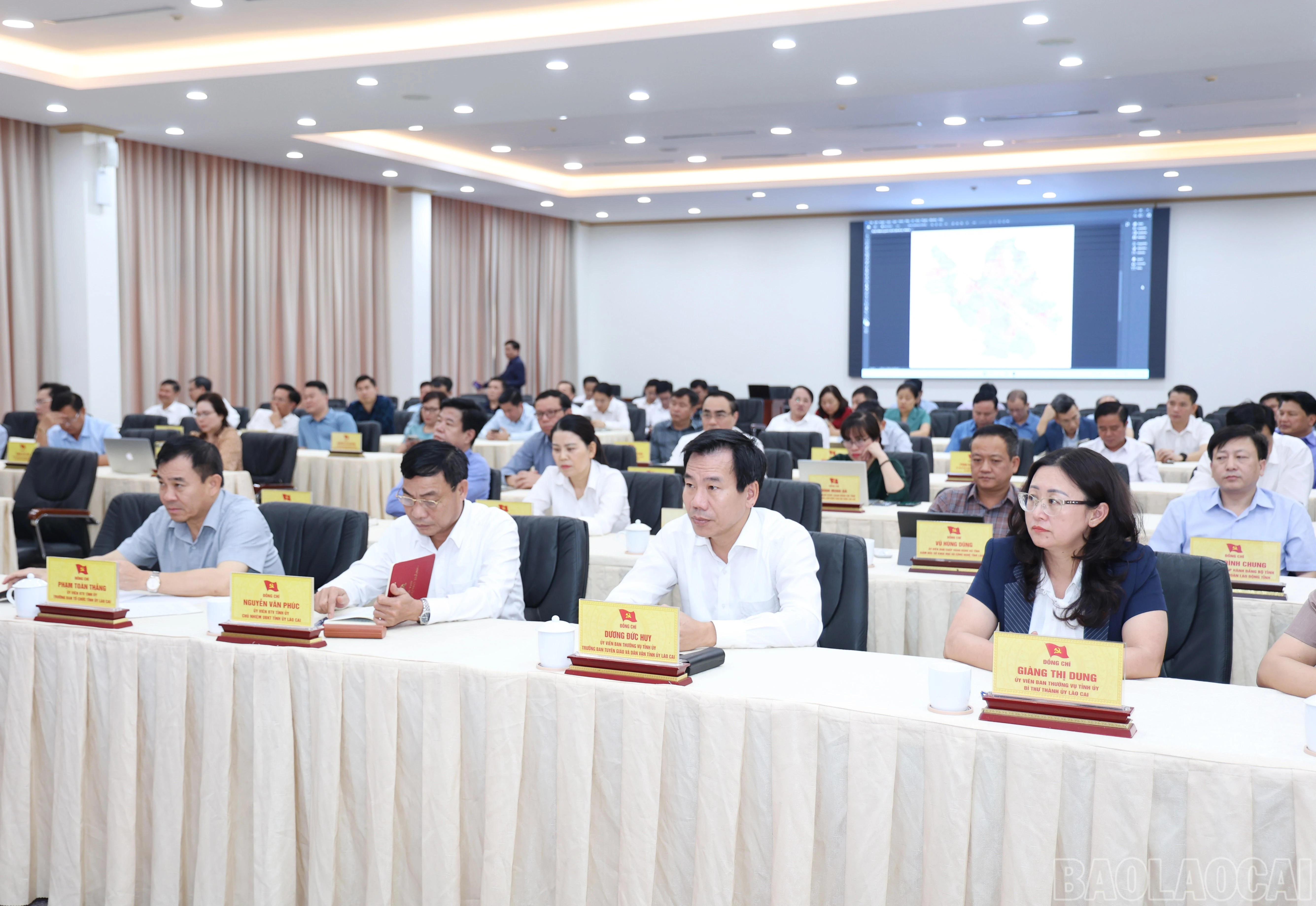 baolaocai-br_3806.jpg