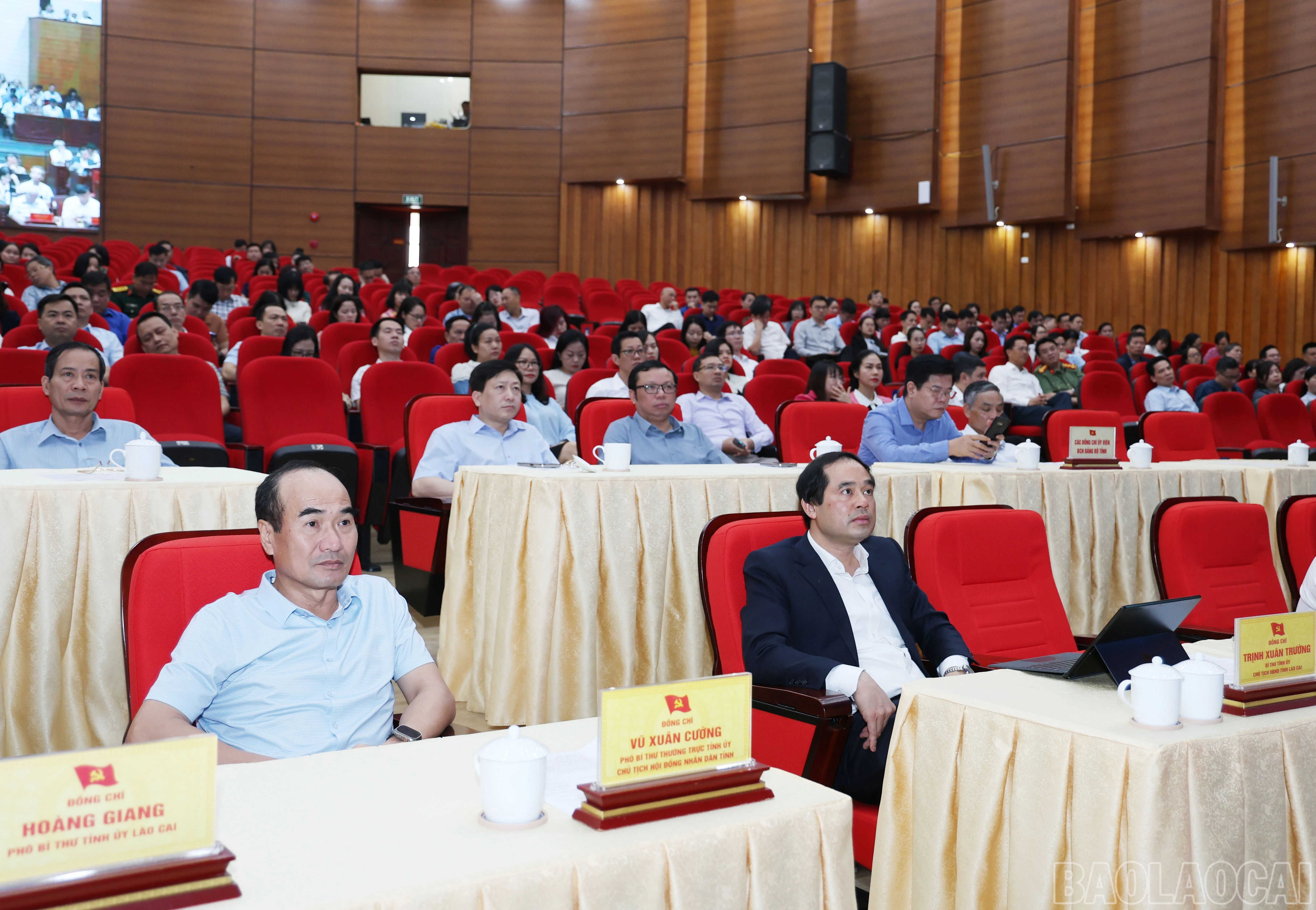 baolaocai-br_3717.jpg