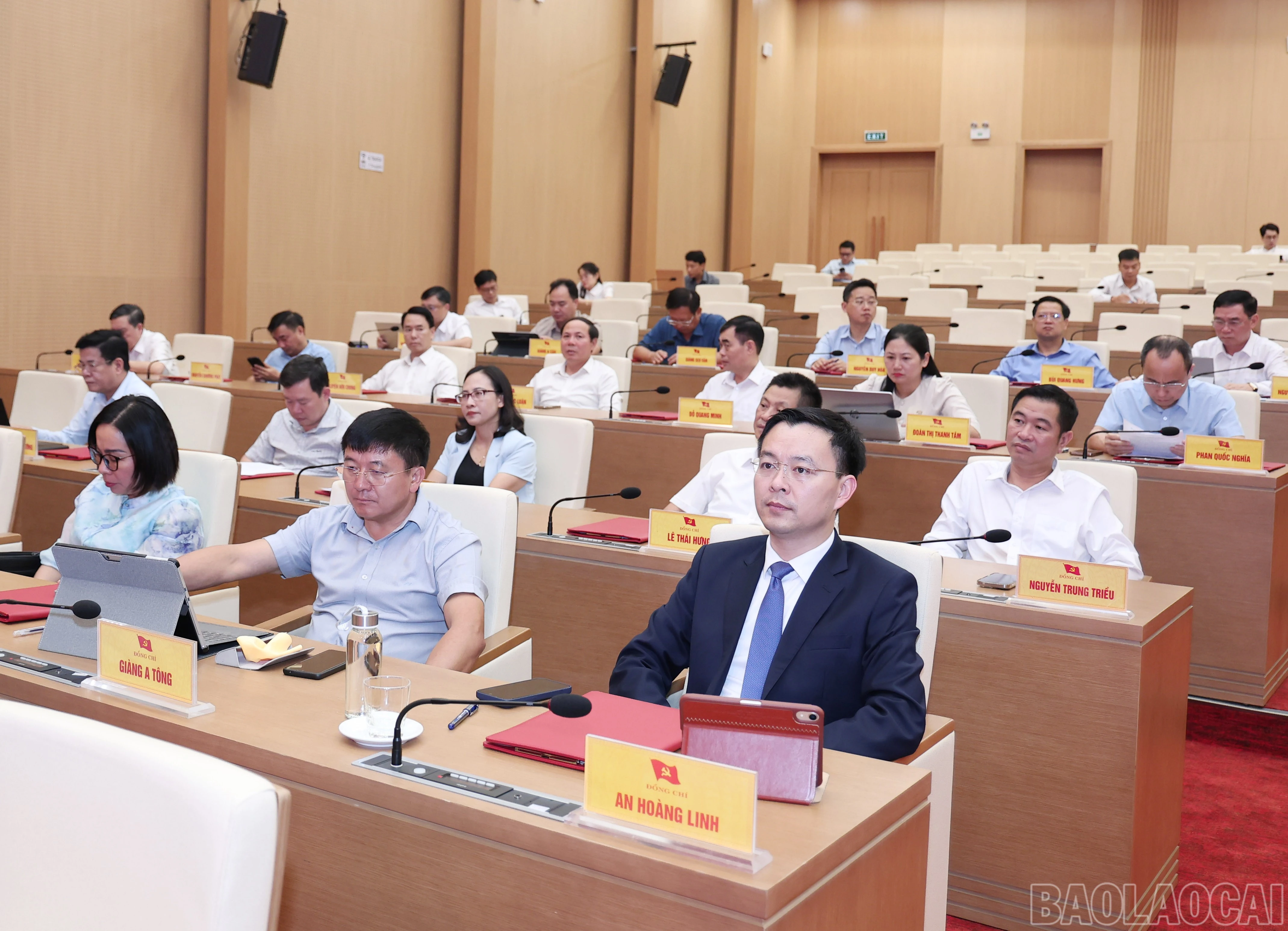 baolaocai-br_img-0907.jpg