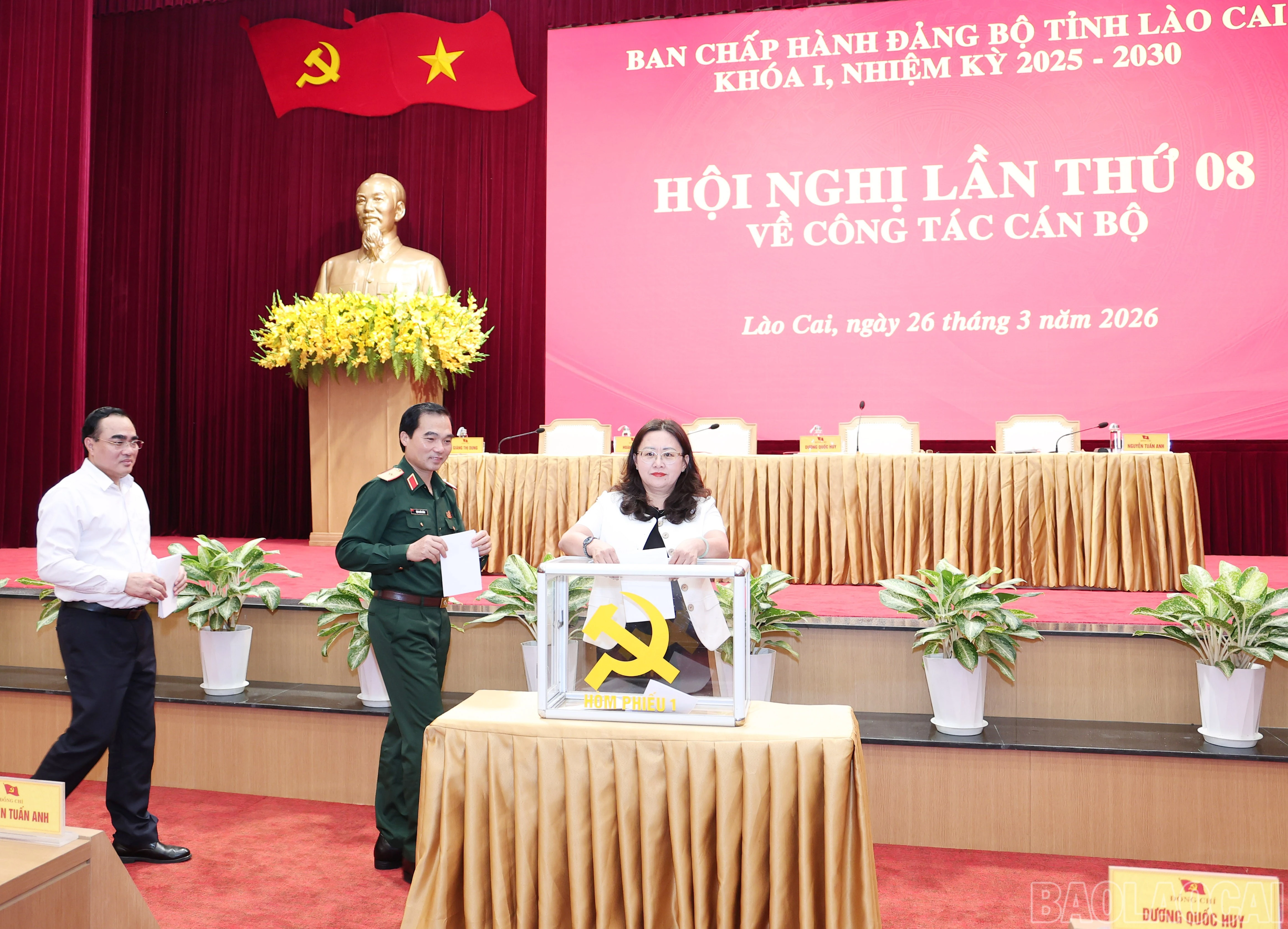 baolaocai-br_img-0966.jpg