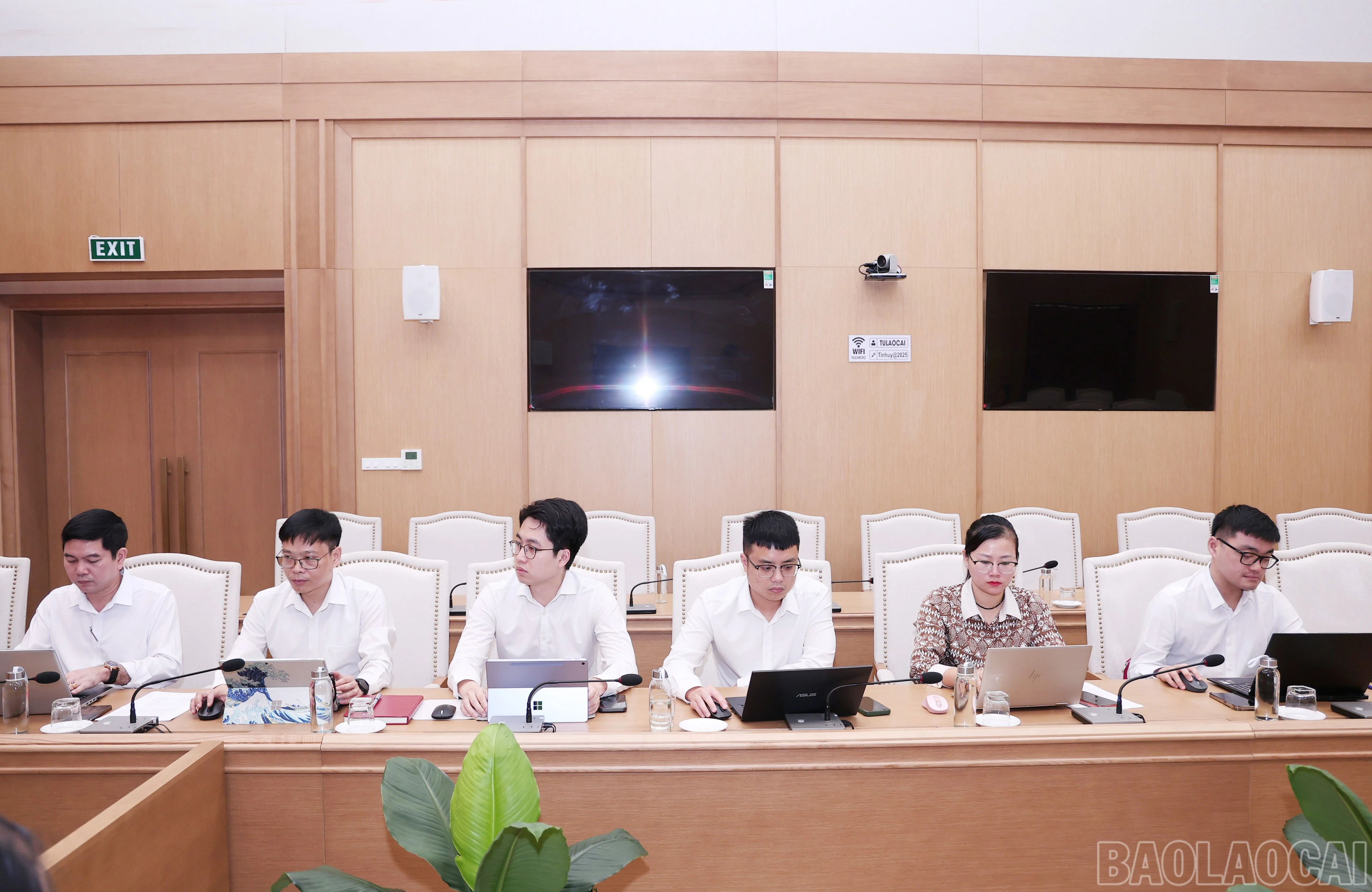 baolaocai-br_img-9574.jpg