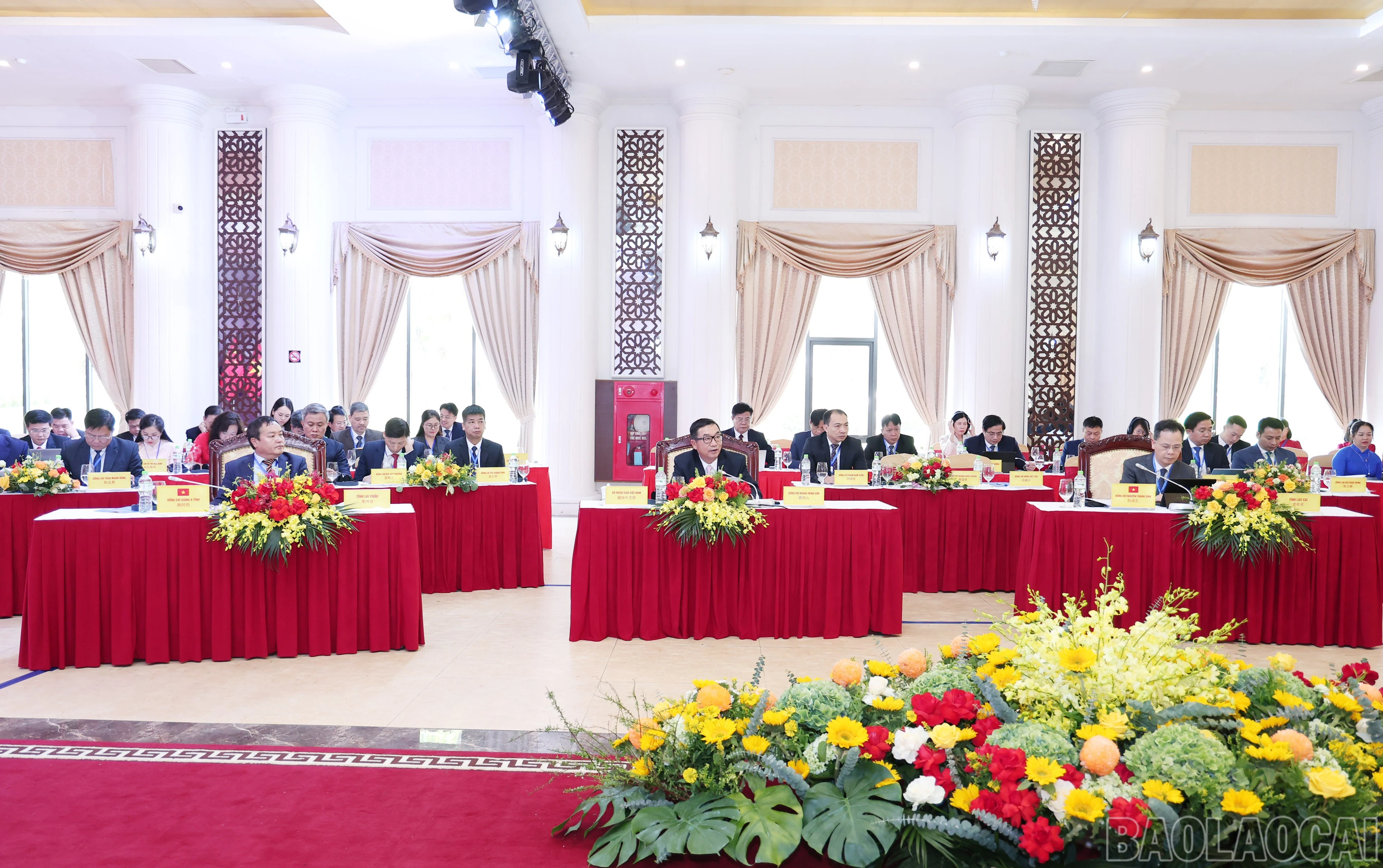 baolaocai-br_img-9241.jpg
