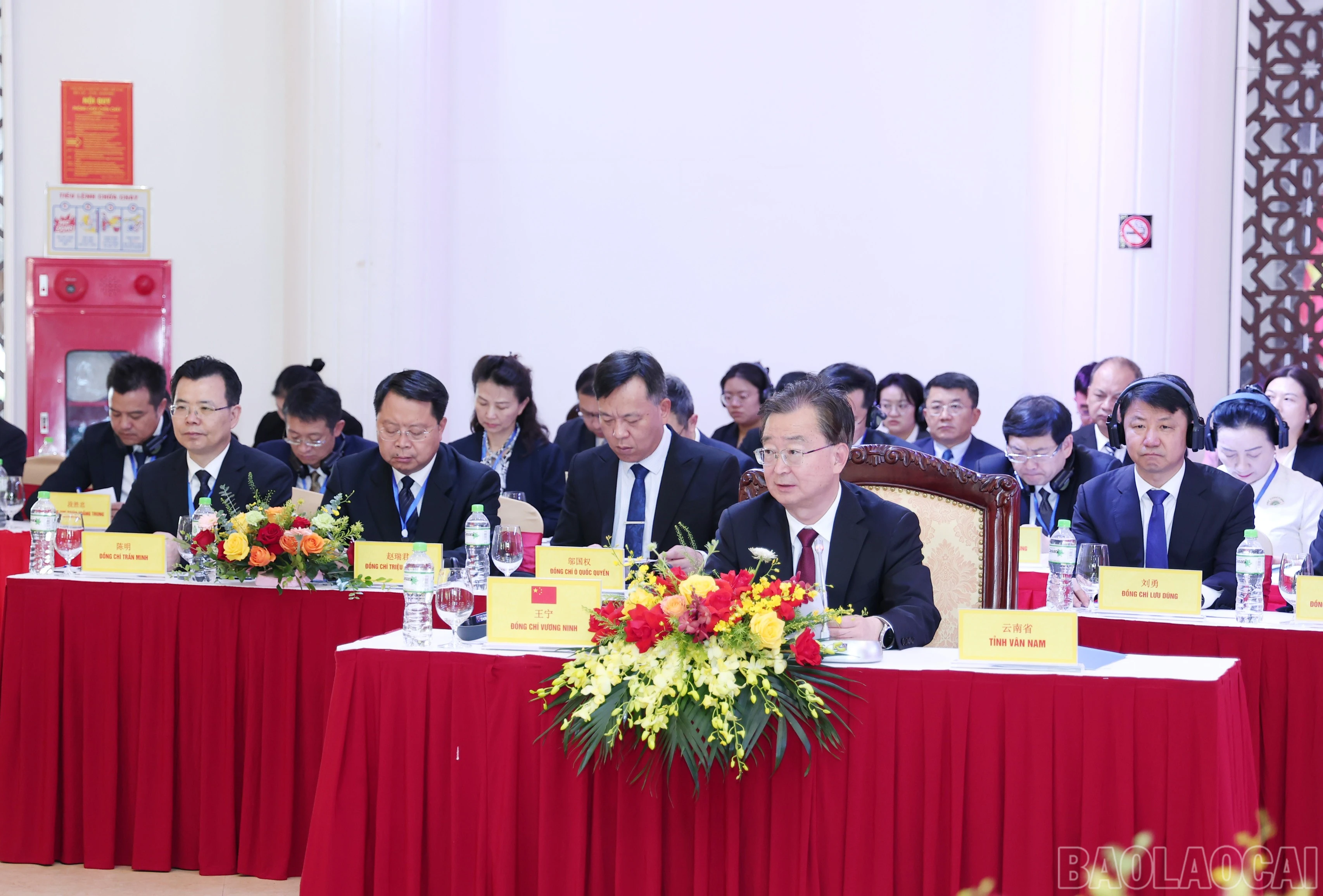 baolaocai-br_img-8892.jpg