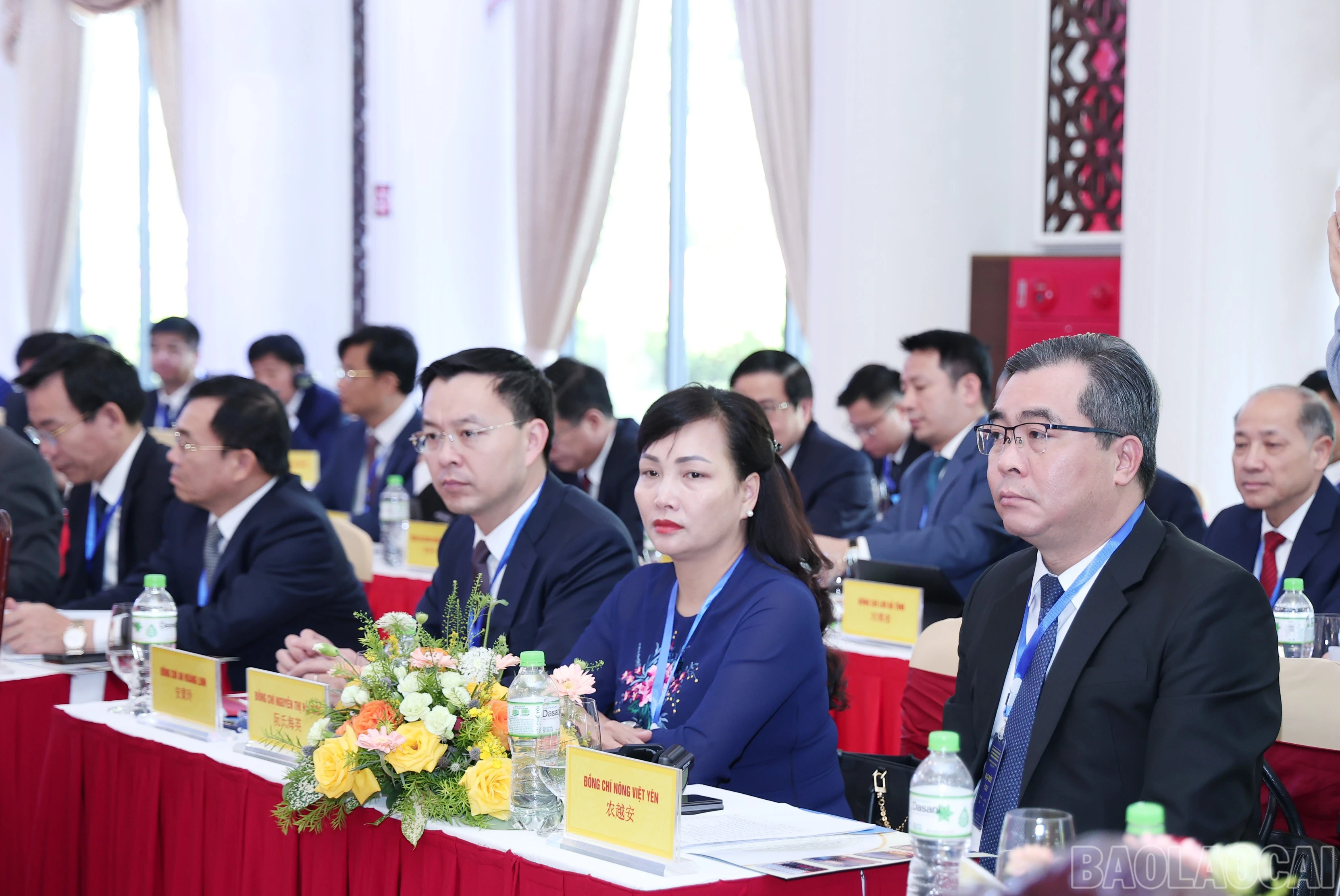 baolaocai-br_img-8974.jpg