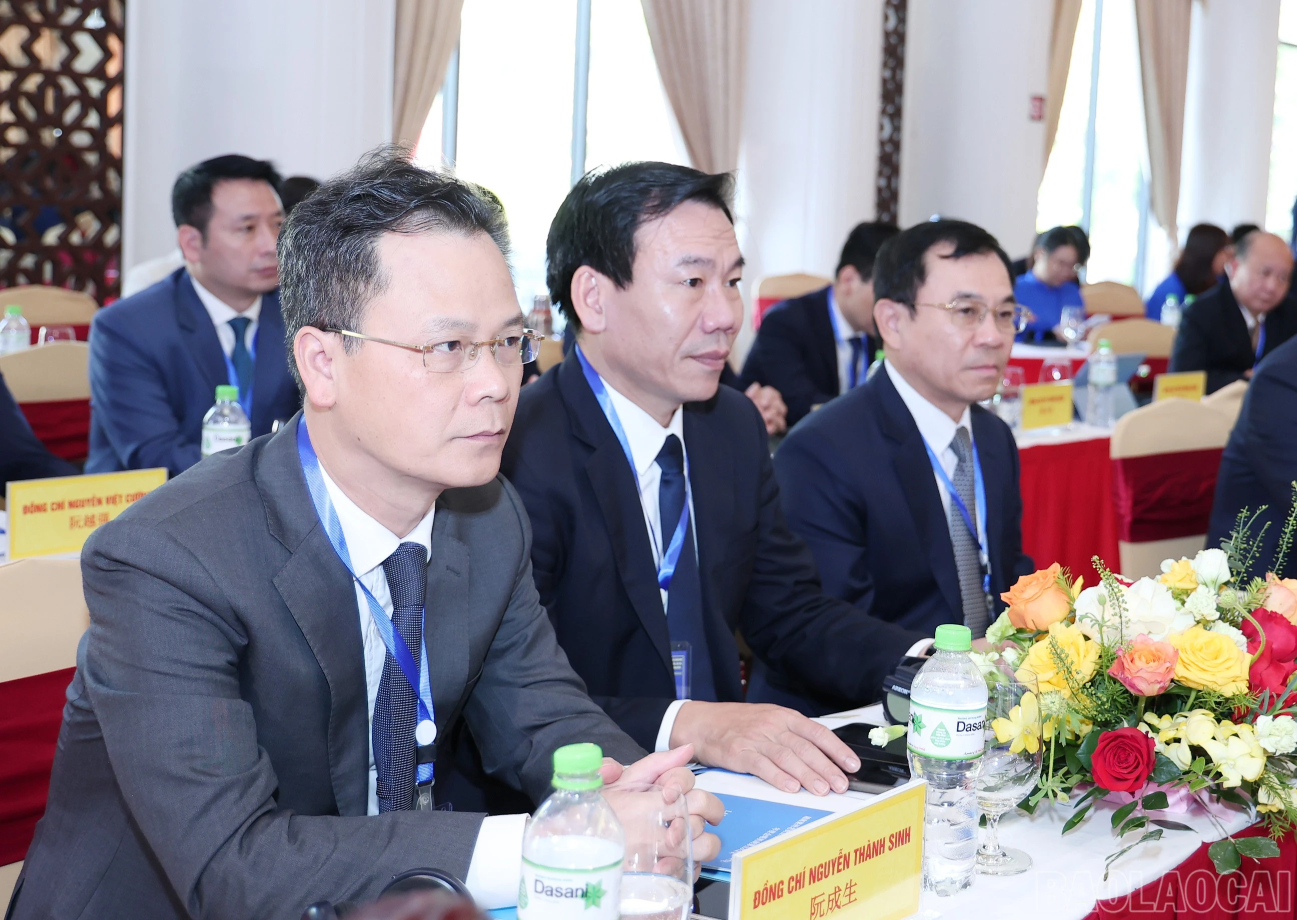 baolaocai-br_img-8957.jpg