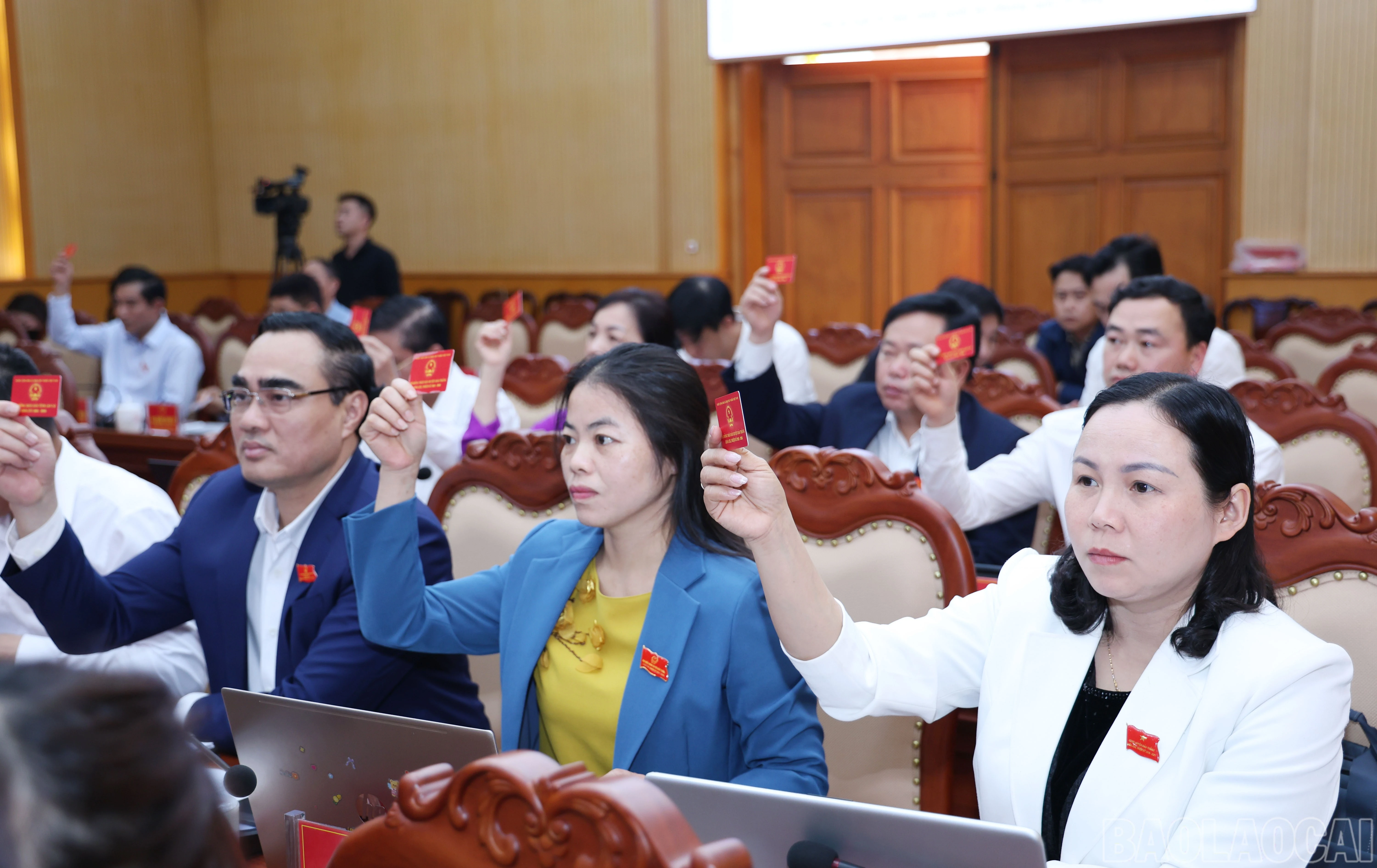 baolaocai-br_1430.jpg