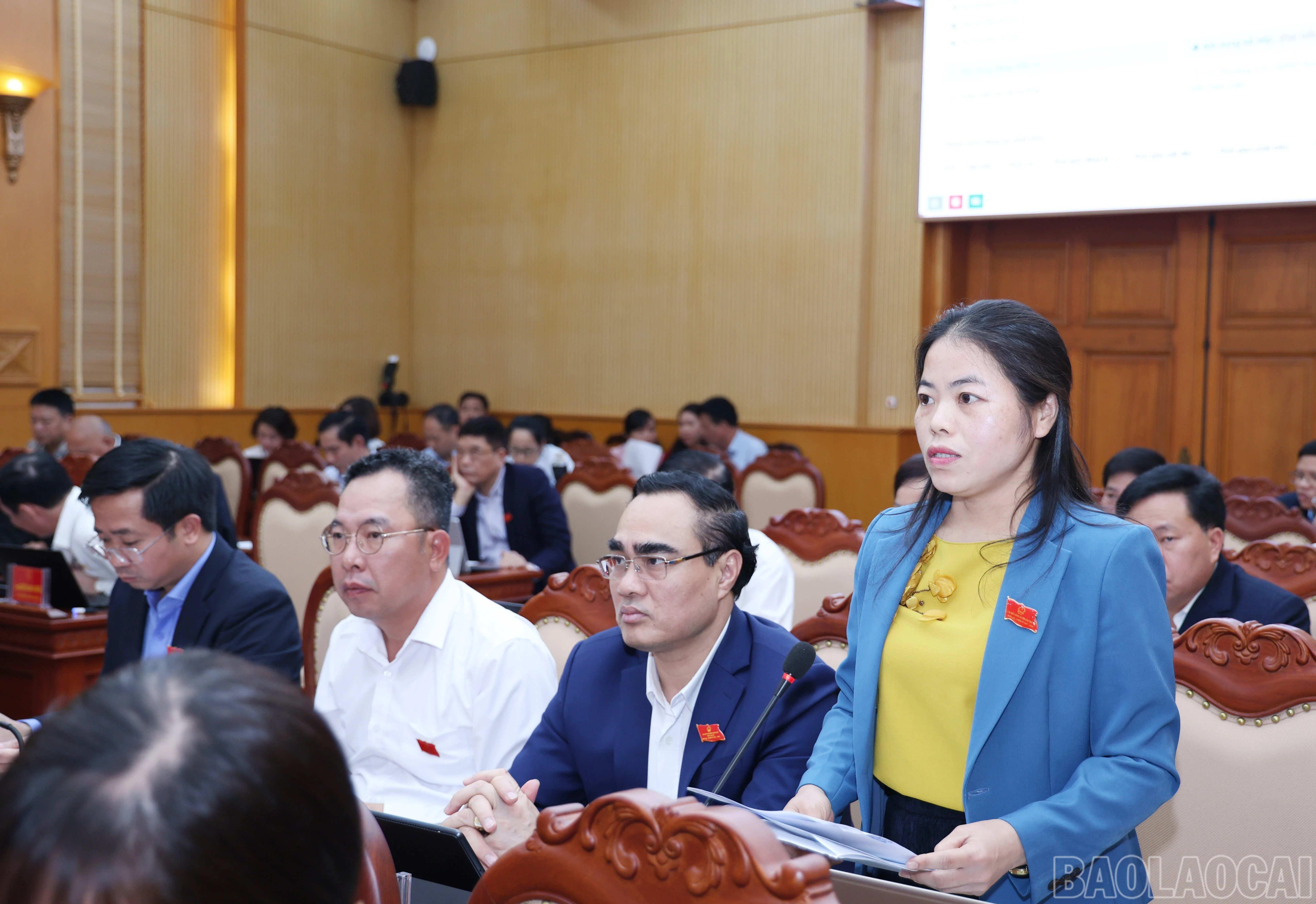 baolaocai-br_1406.jpg
