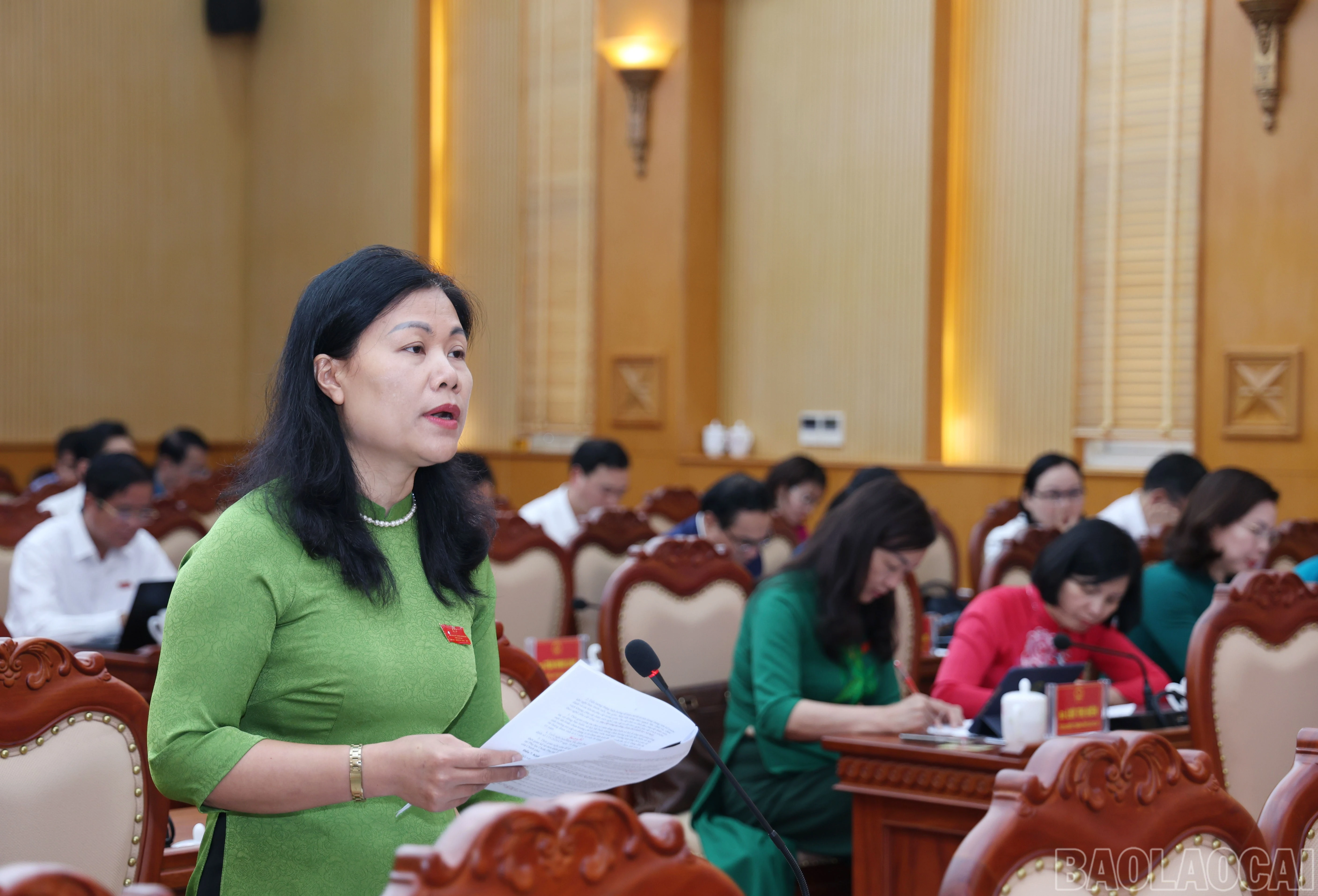 baolaocai-br_1421.jpg