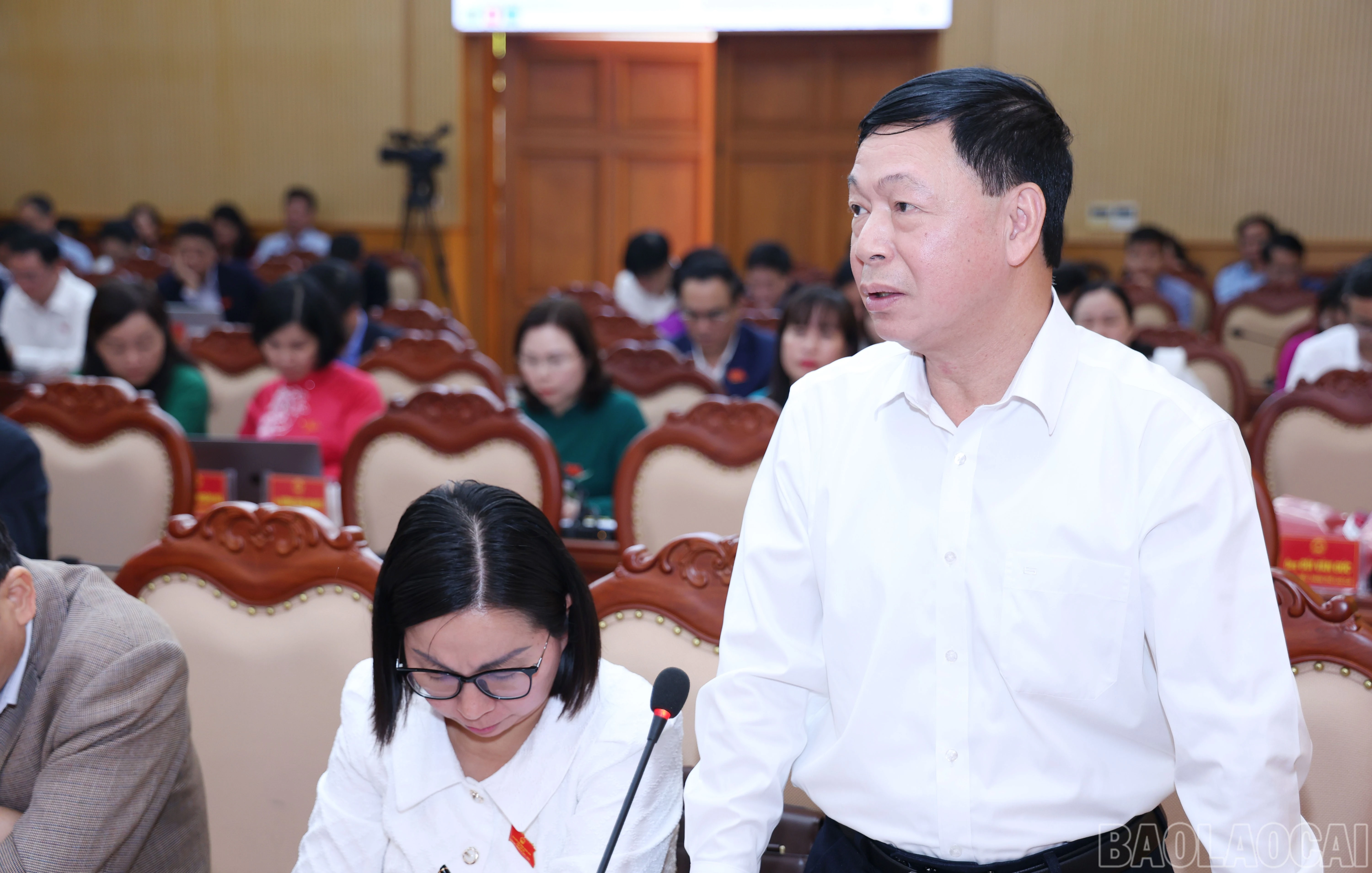 baolaocai-br_1418.jpg