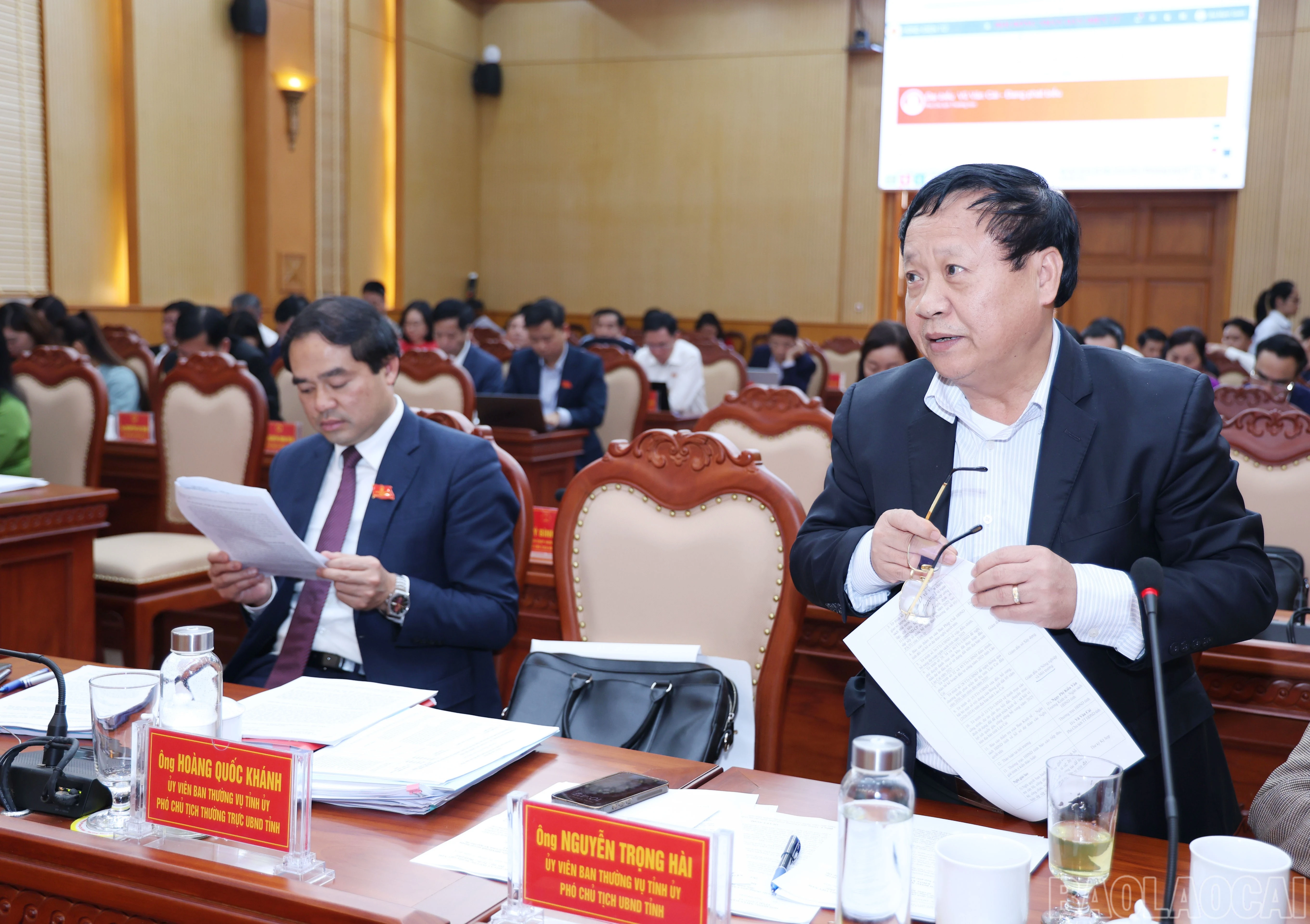 baolaocai-br_1422.jpg