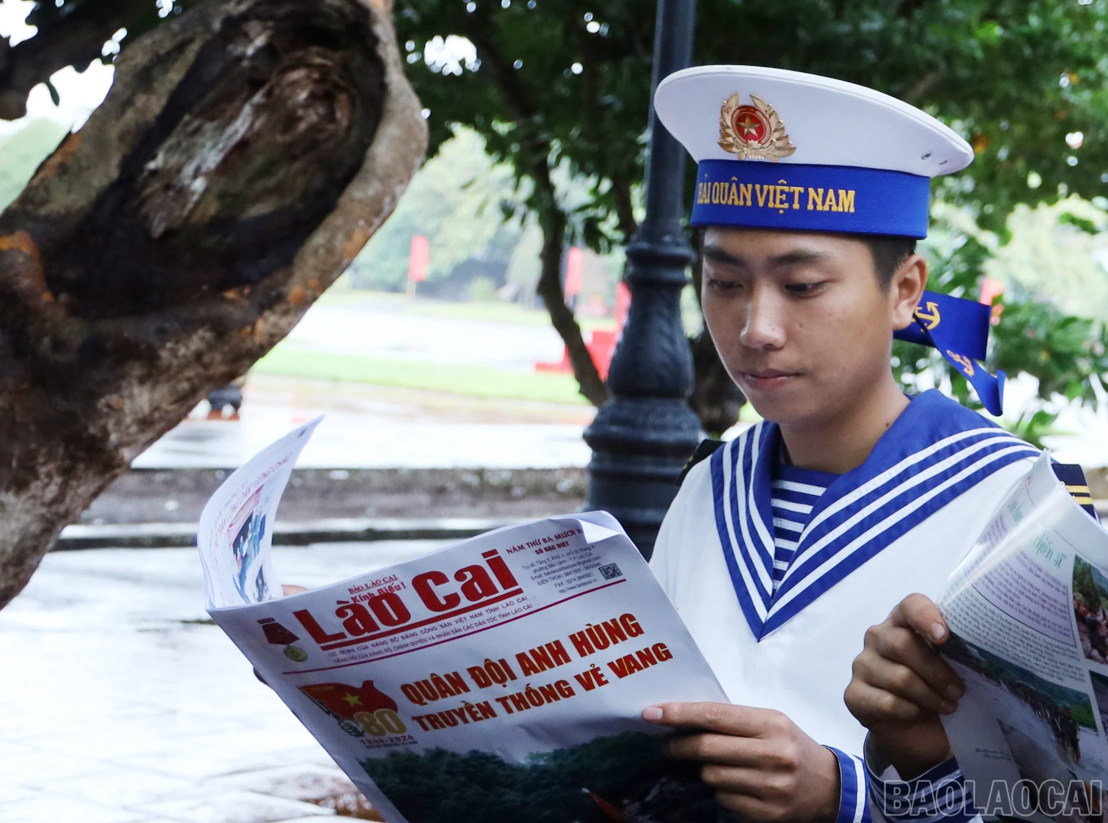 baolaocai-br_174.jpg