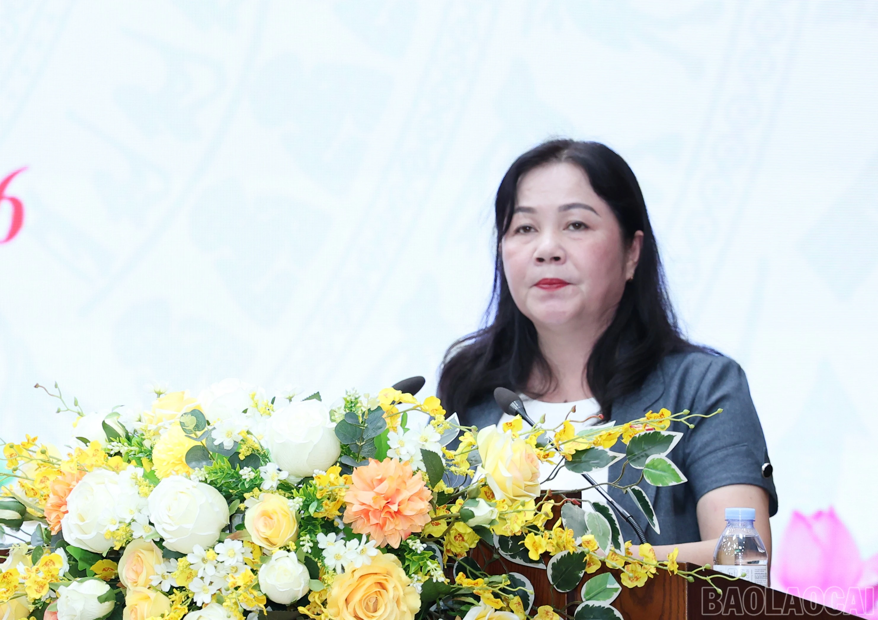 baolaocai-br_img-4793.jpg