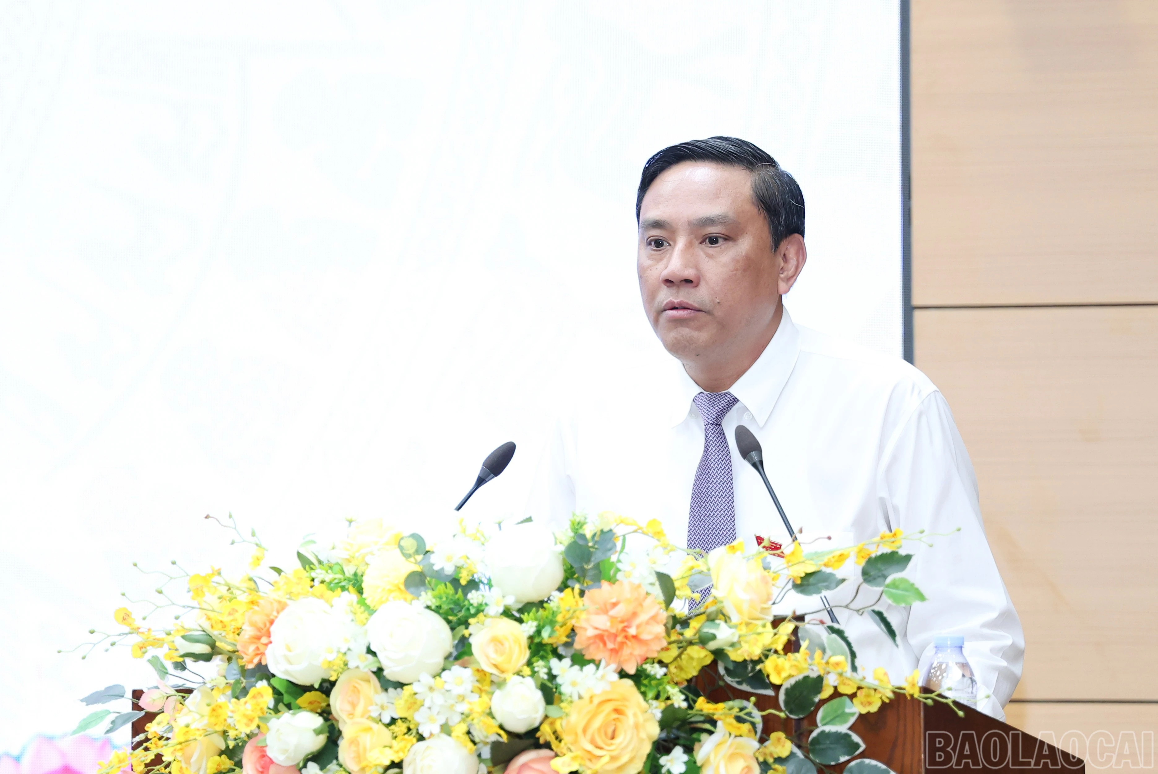 baolaocai-br_img-4872.jpg