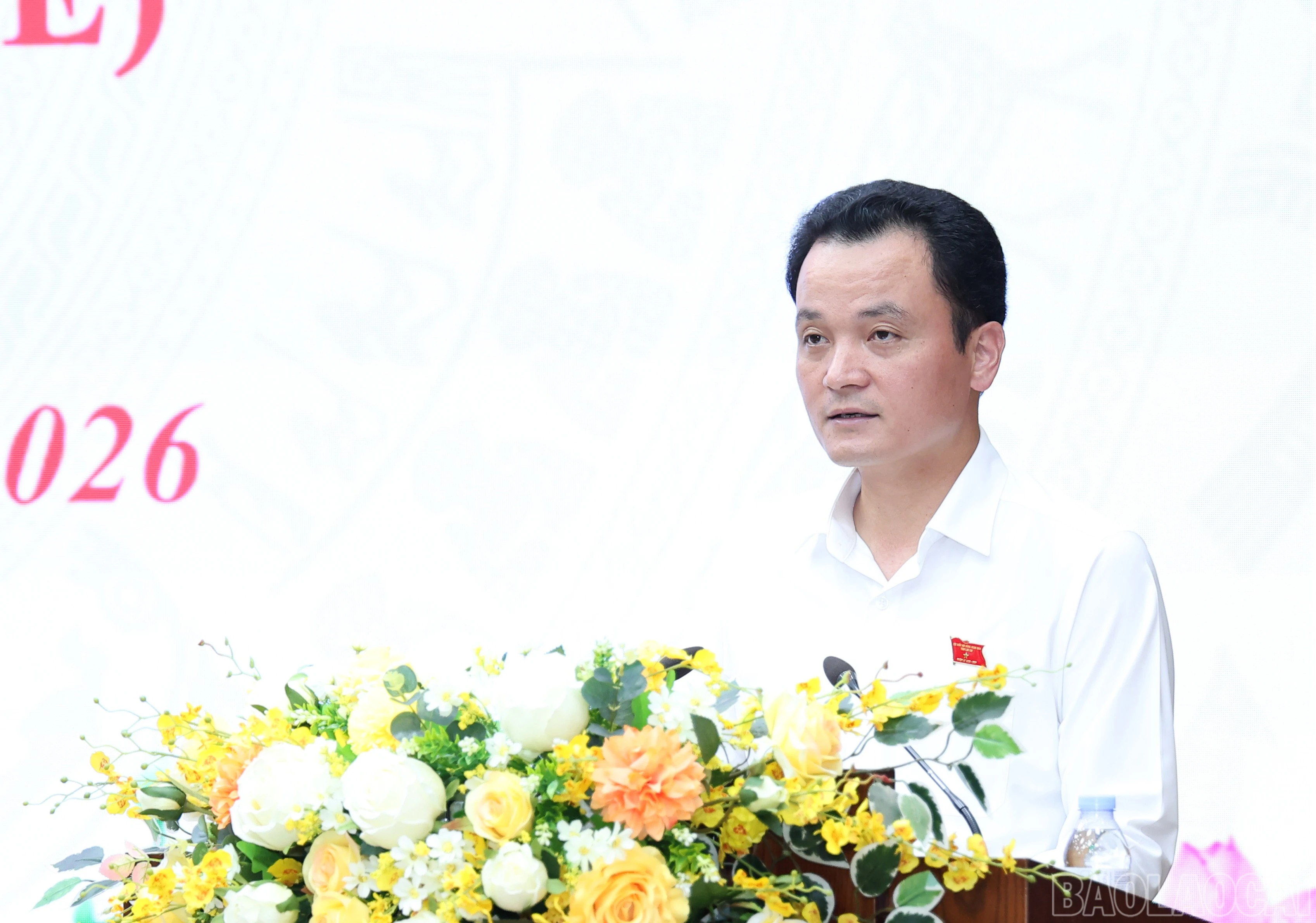baolaocai-br_img-4753.jpg