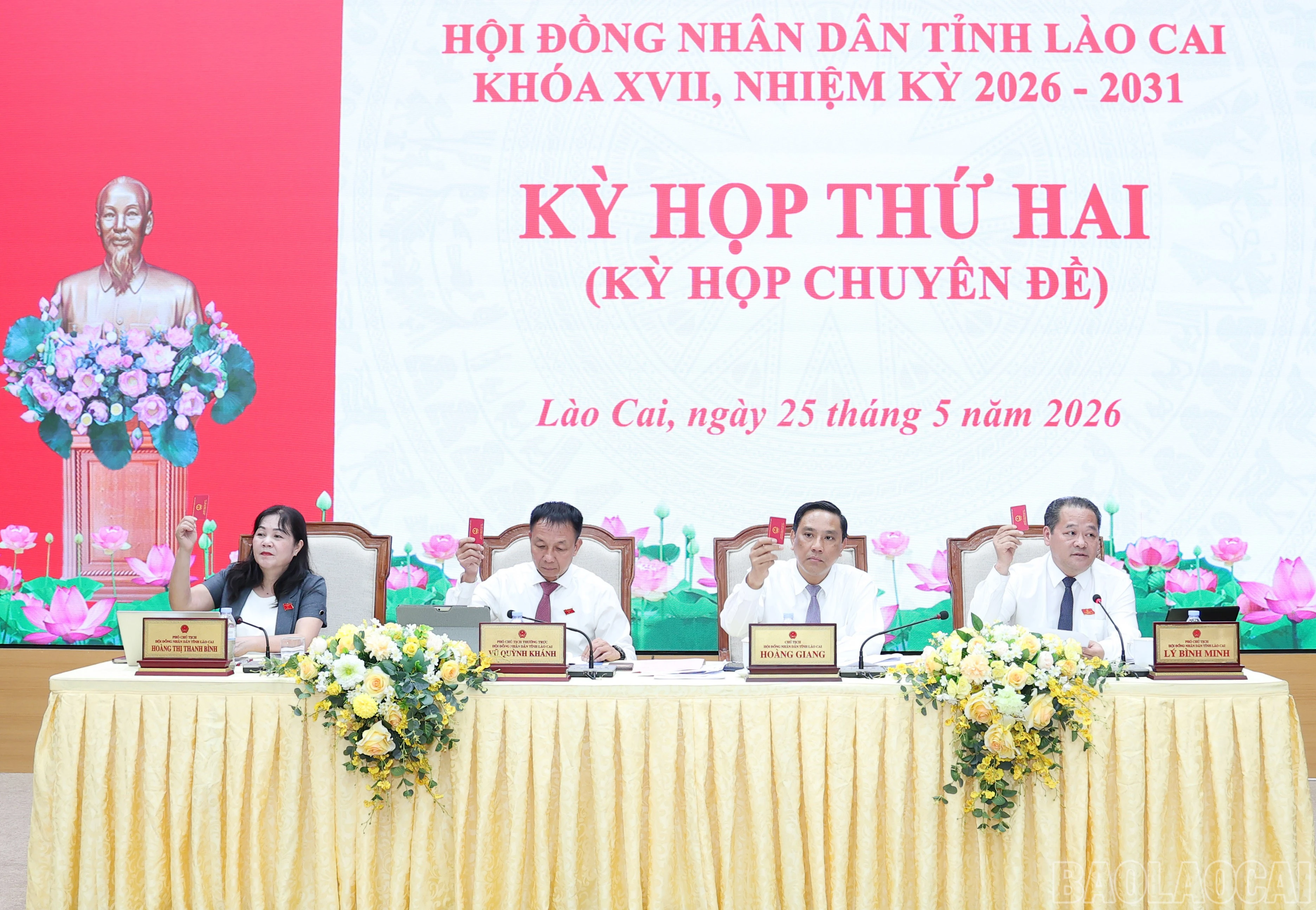 baolaocai-br_img-4842.jpg