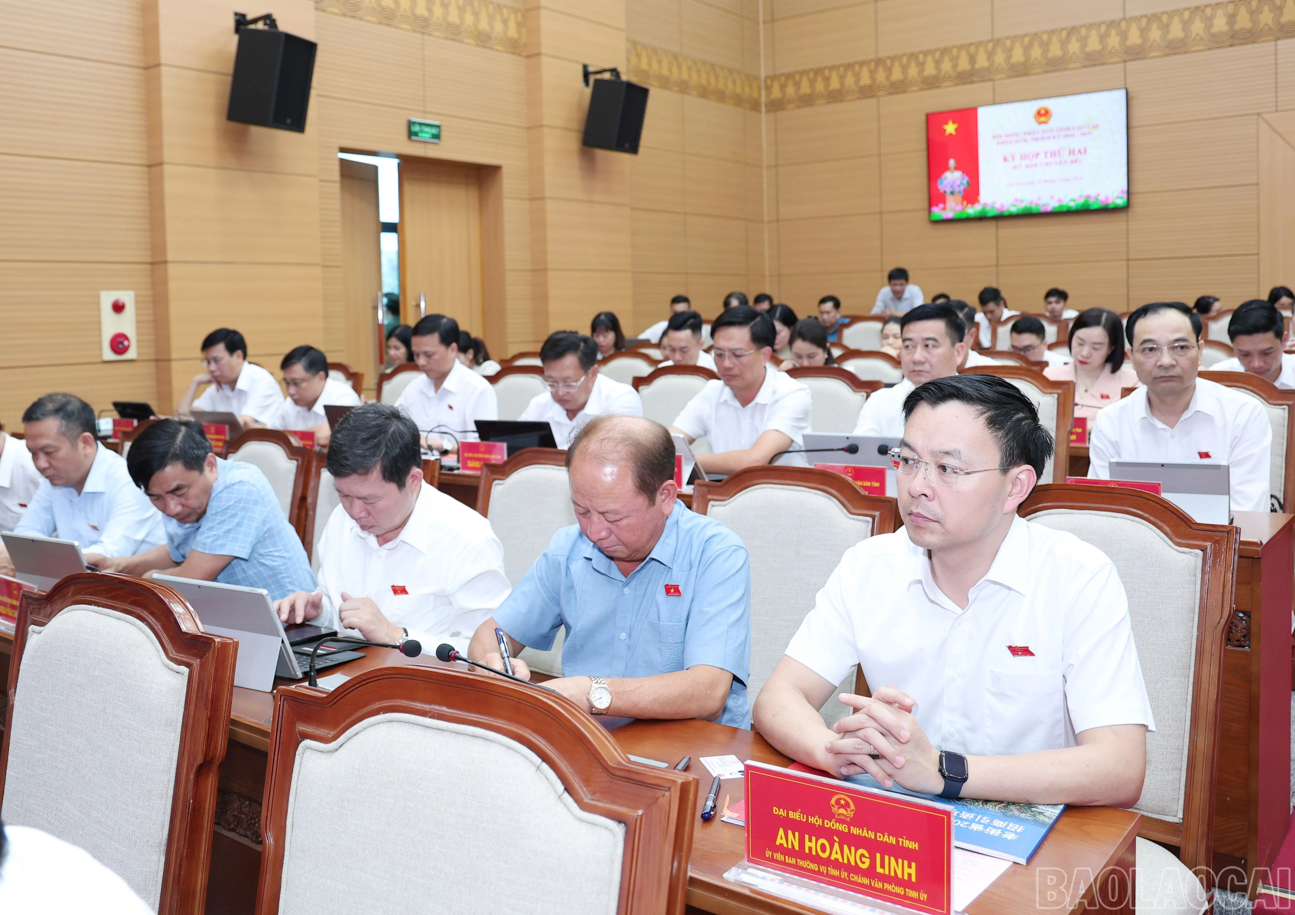 baolaocai-br_img-4711.jpg