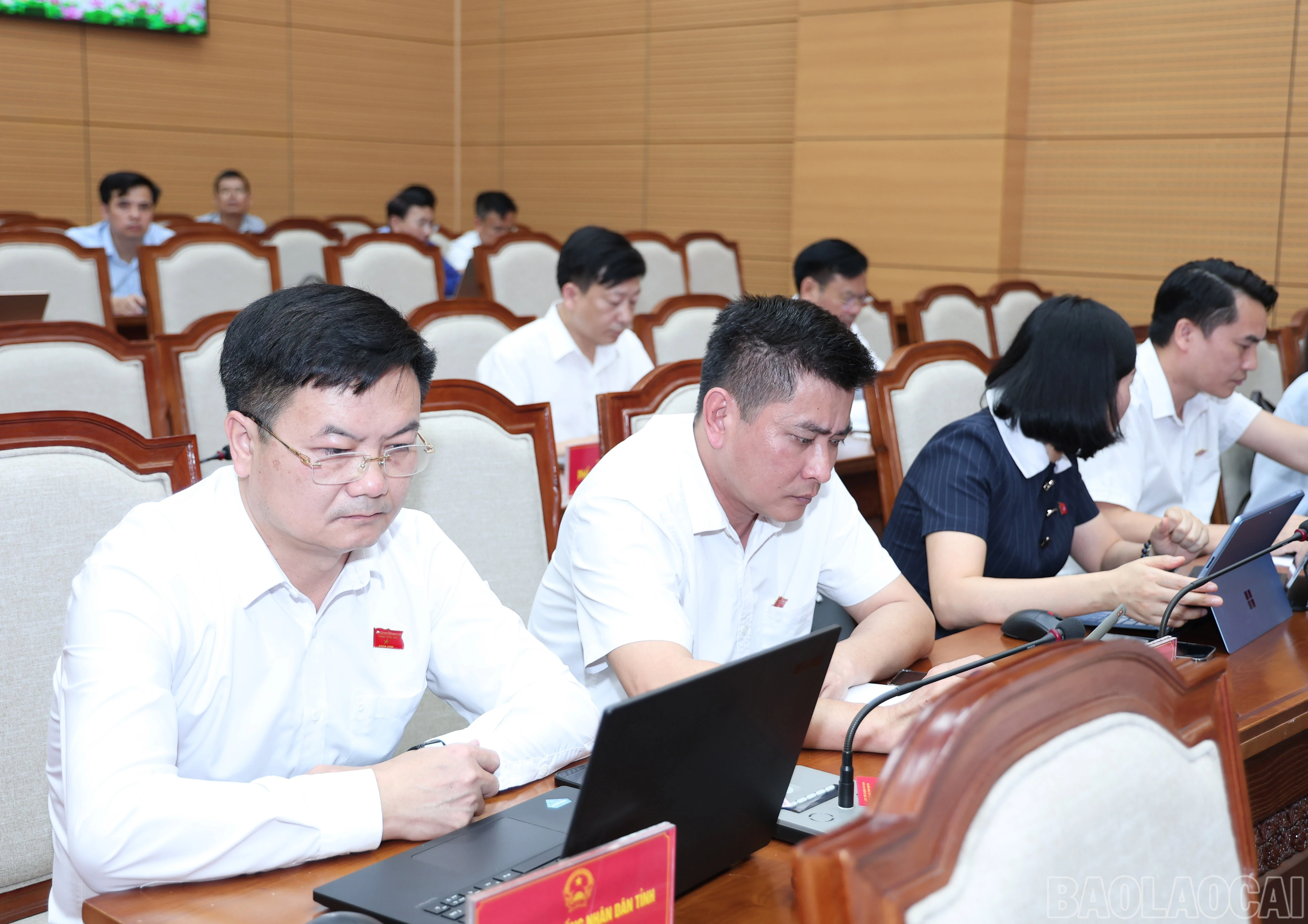 baolaocai-br_img-4739.jpg