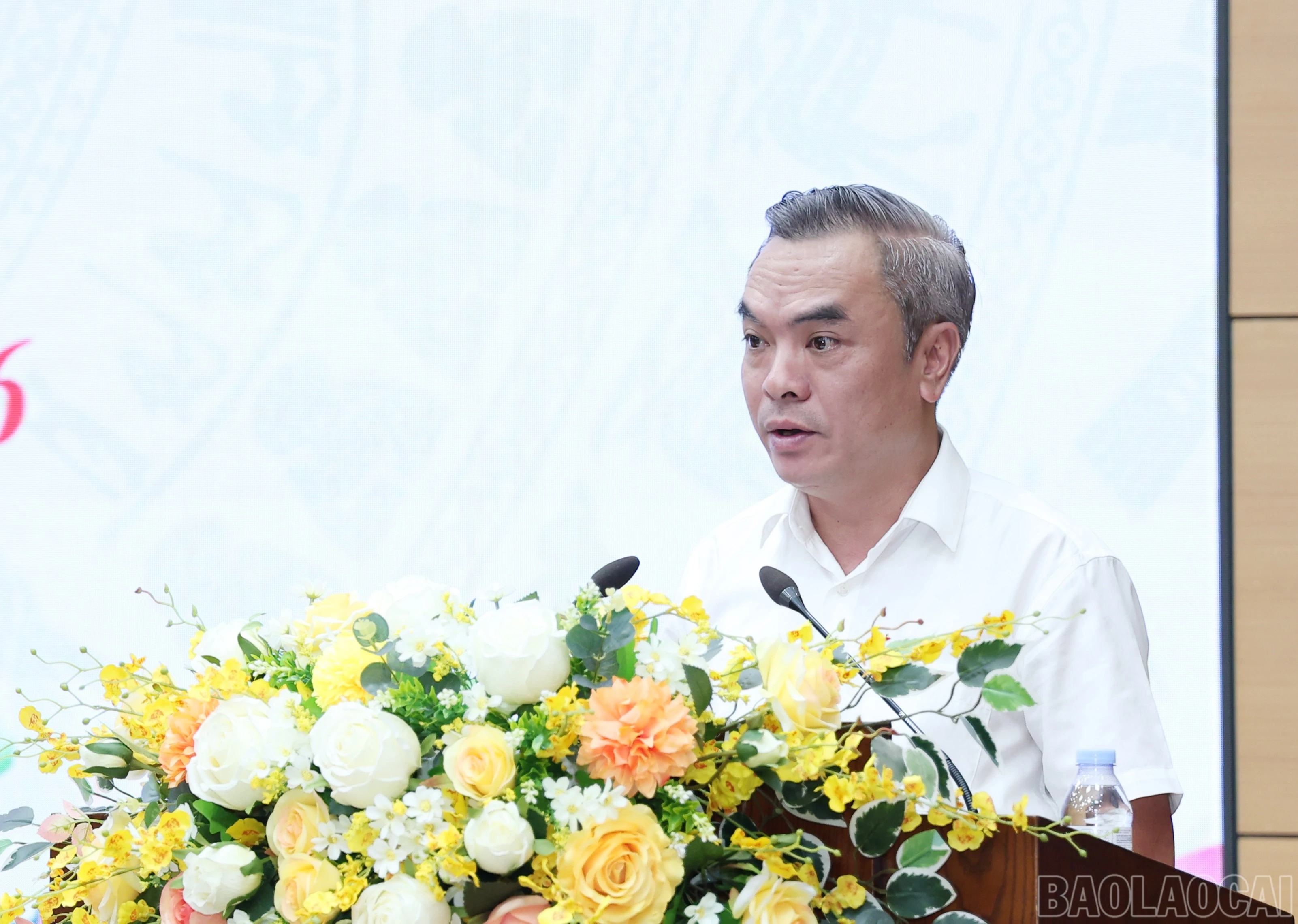 baolaocai-br_img-4787.jpg
