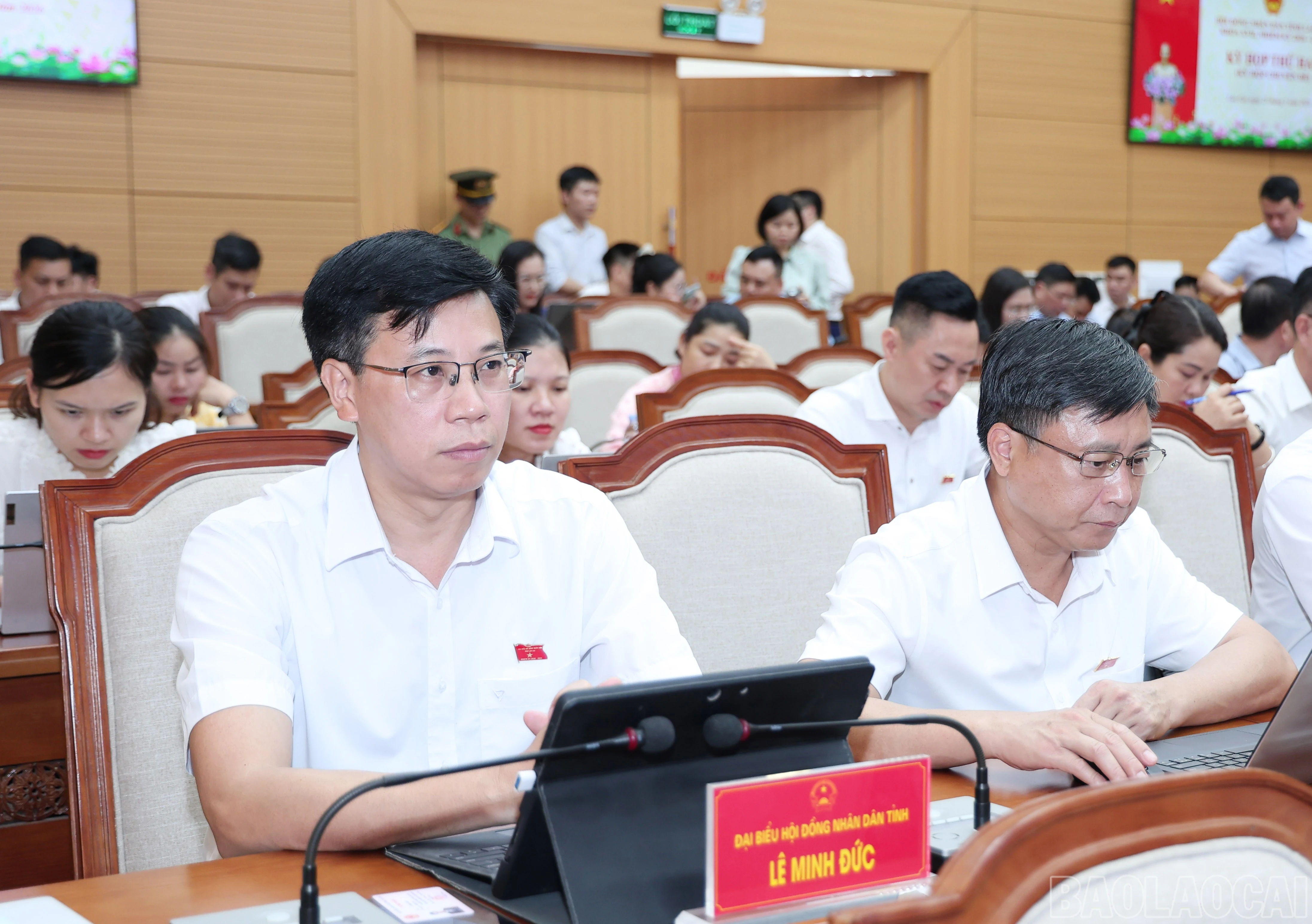 baolaocai-br_img-4690.jpg