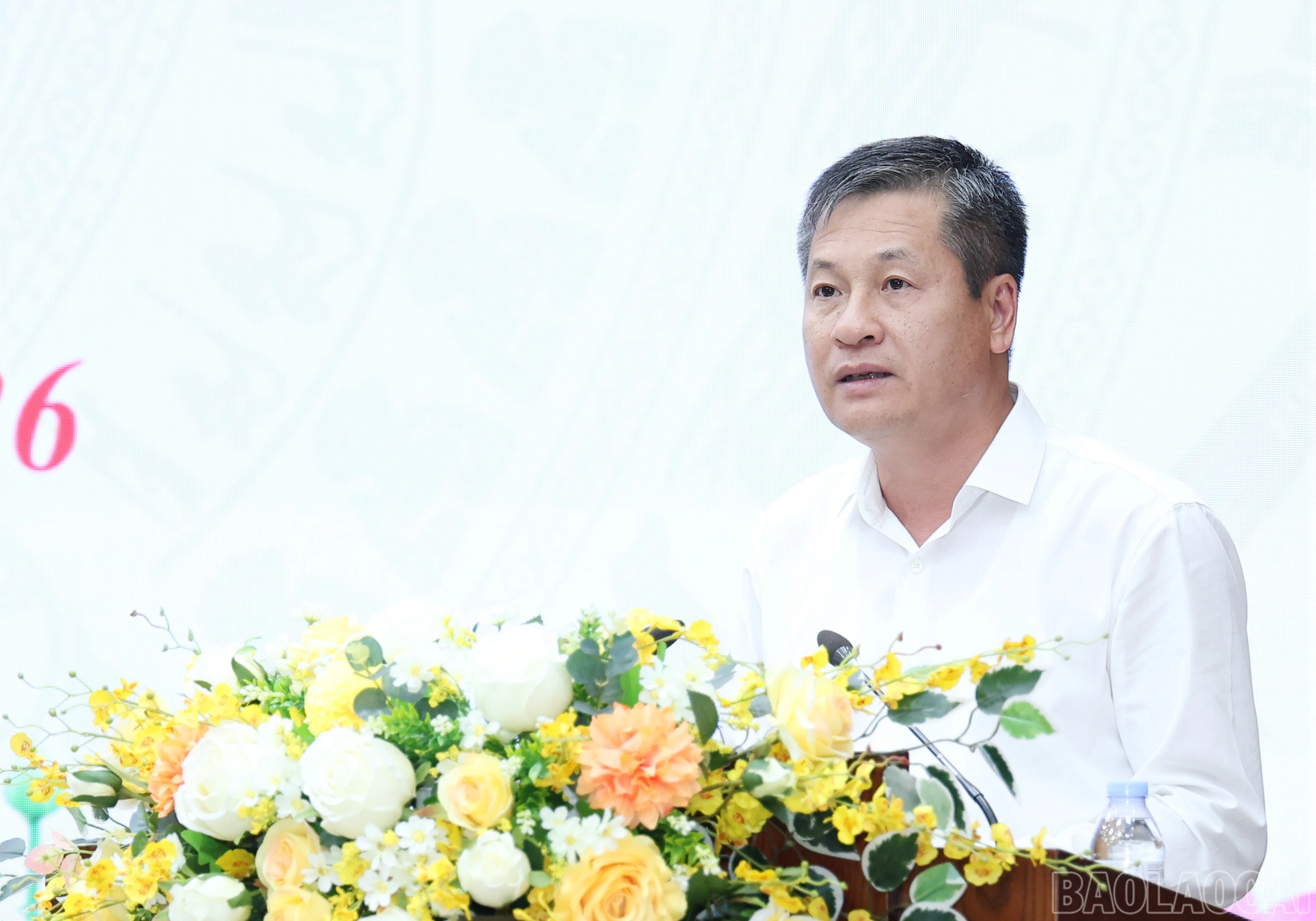 baolaocai-br_img-4682.jpg