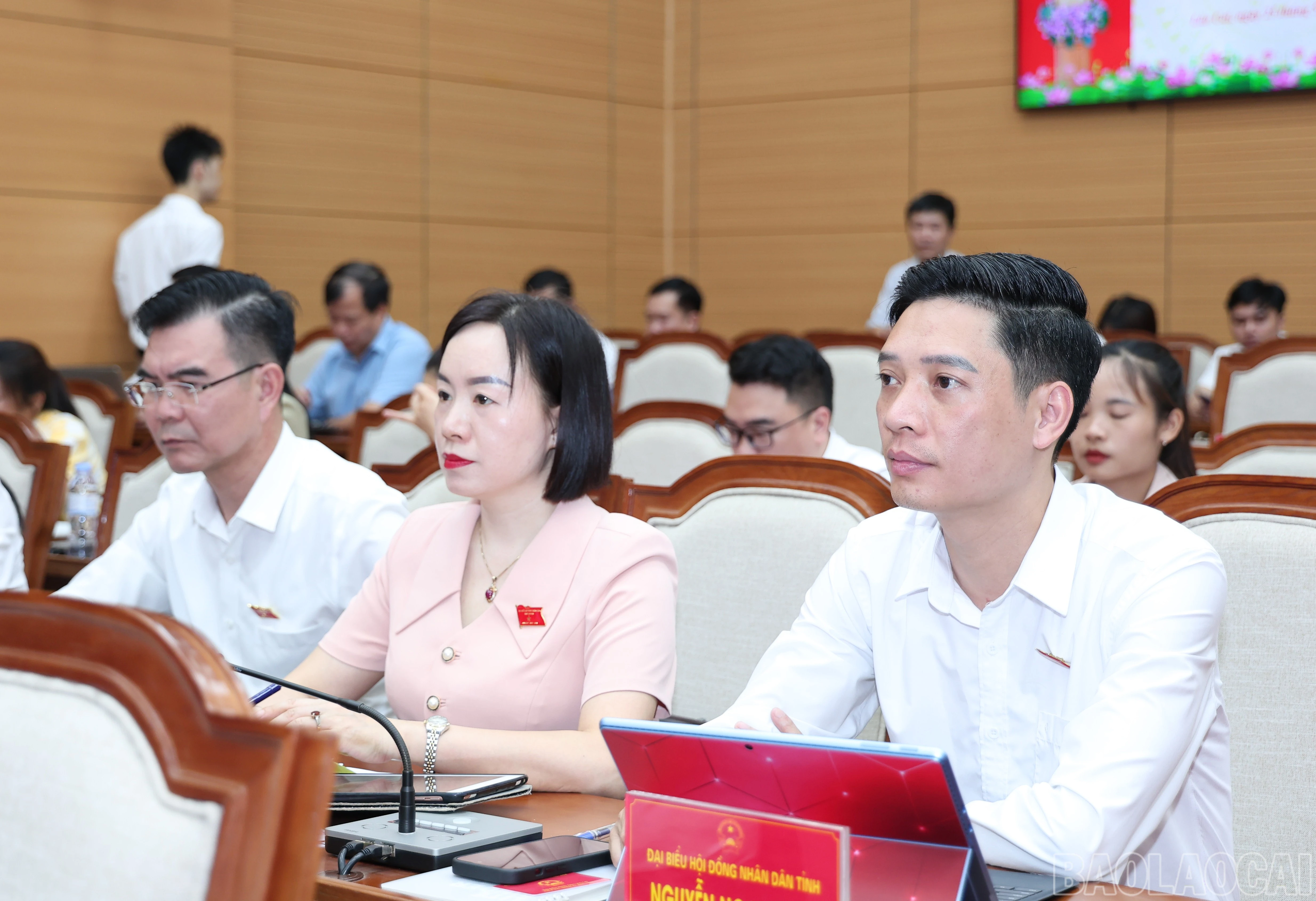 baolaocai-br_img-4723.jpg