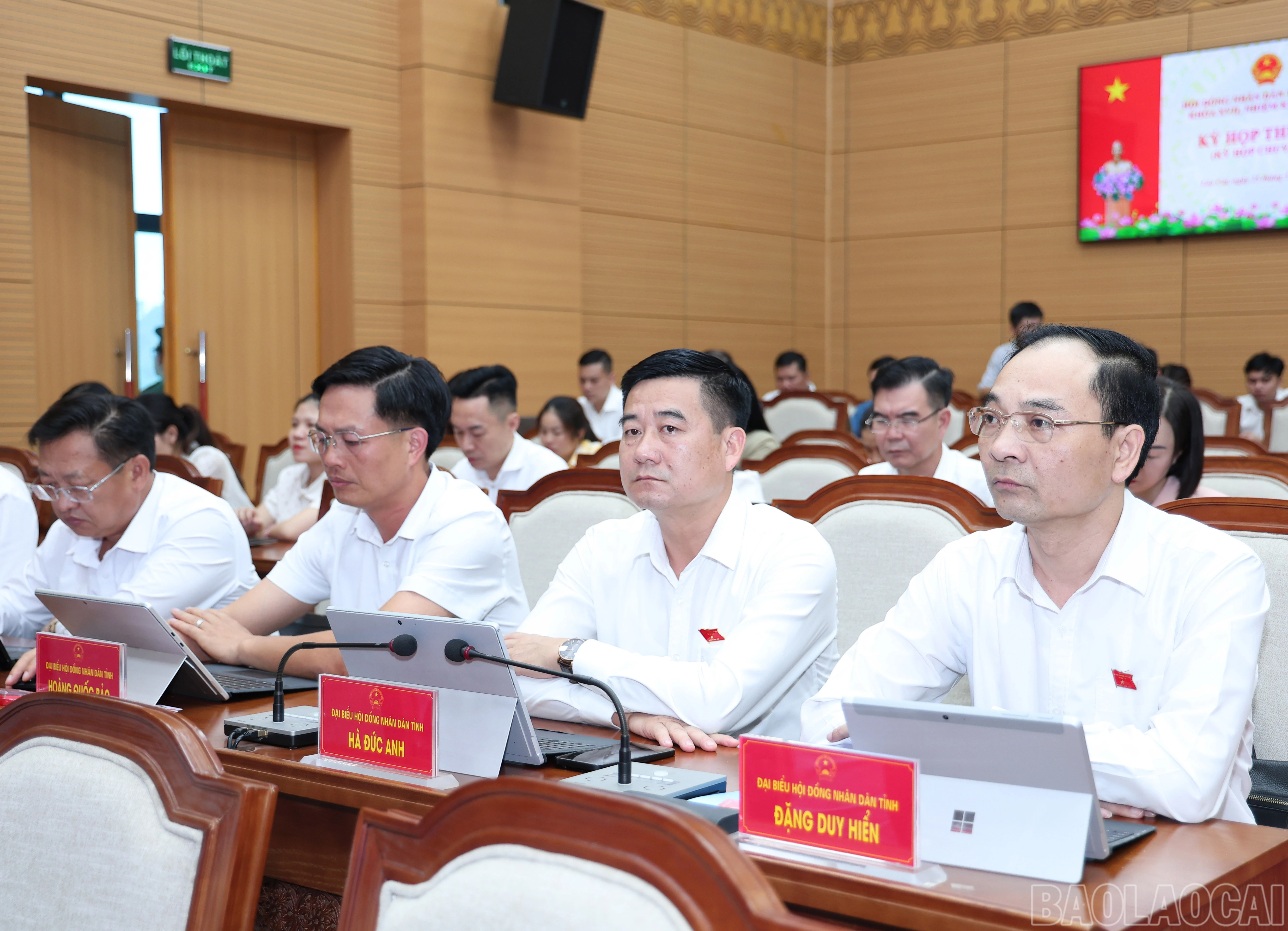 baolaocai-br_img-4715.jpg