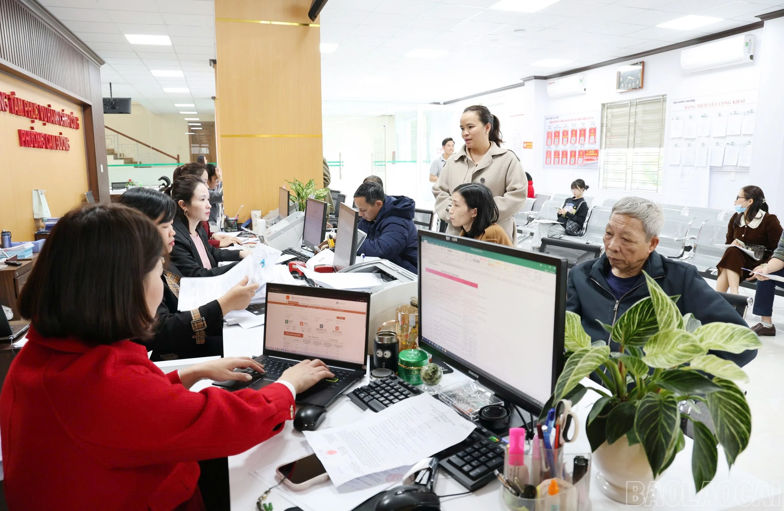 baolaocai-br_111.jpg