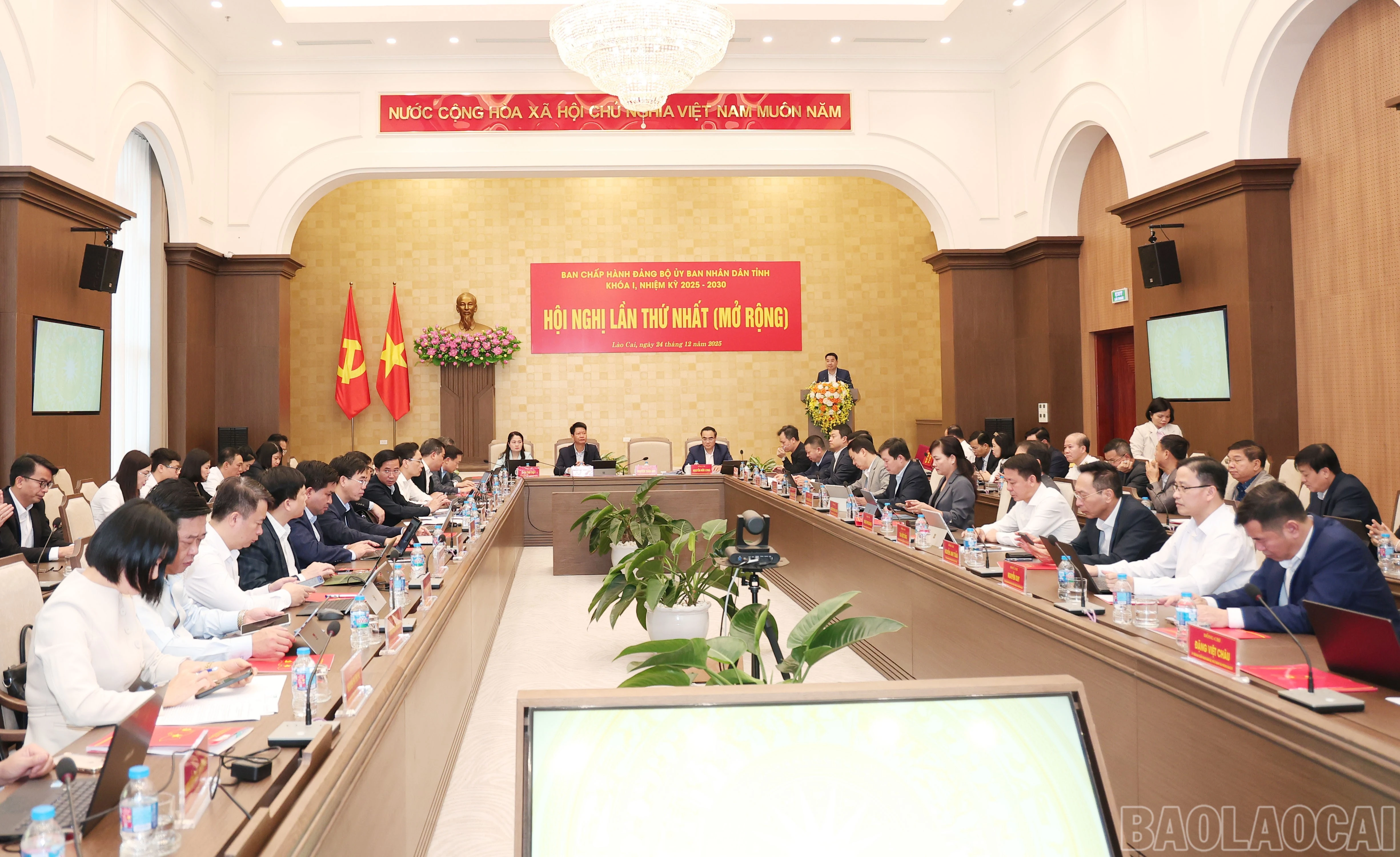 baolaocai-br_img-4261.jpg