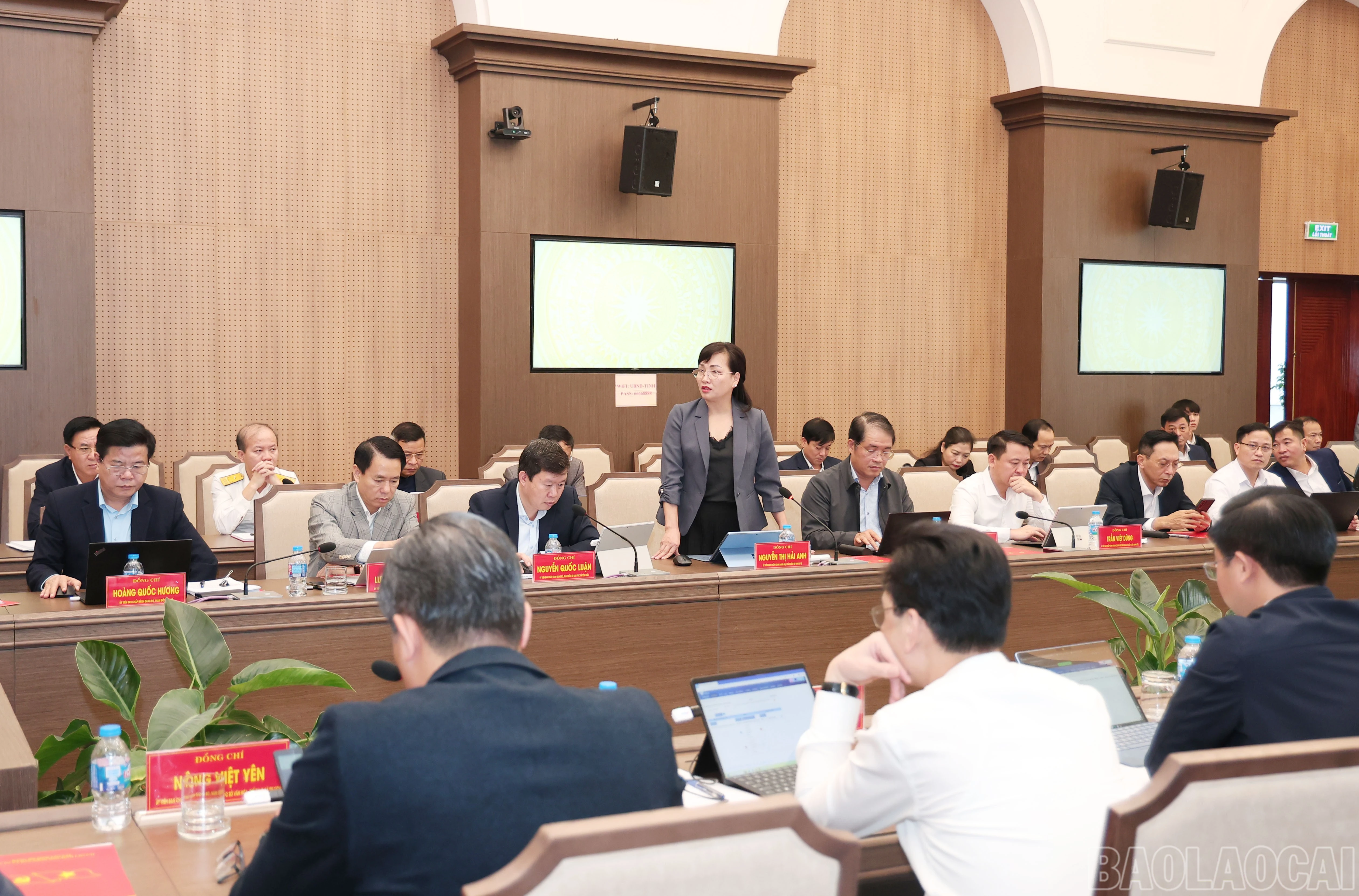 baolaocai-br_img-4395.jpg