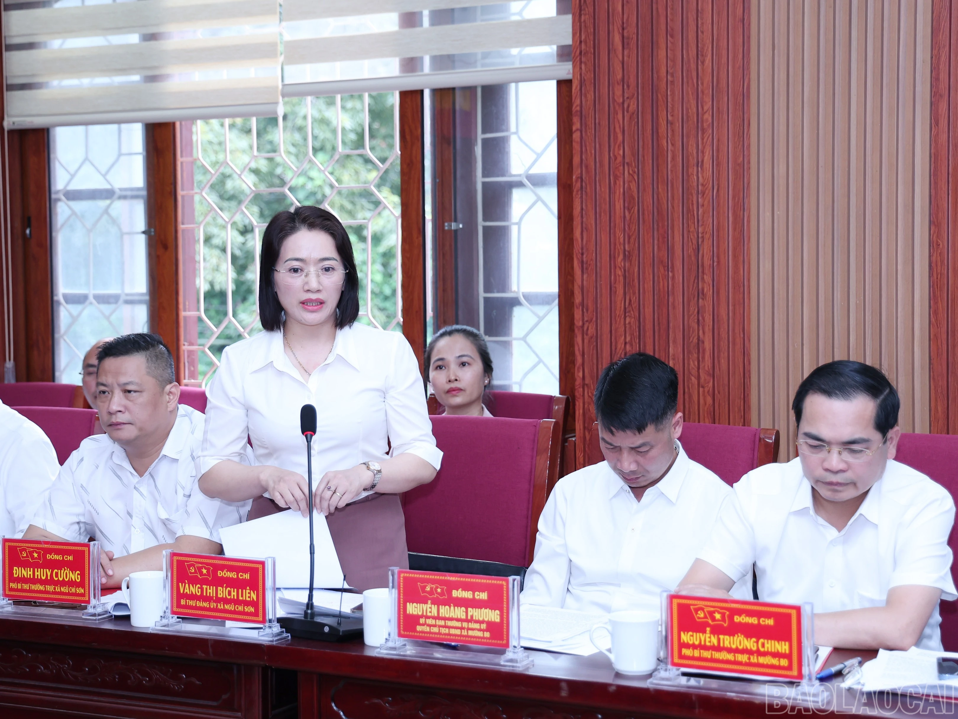 baolaocai-br_img-1270.jpg