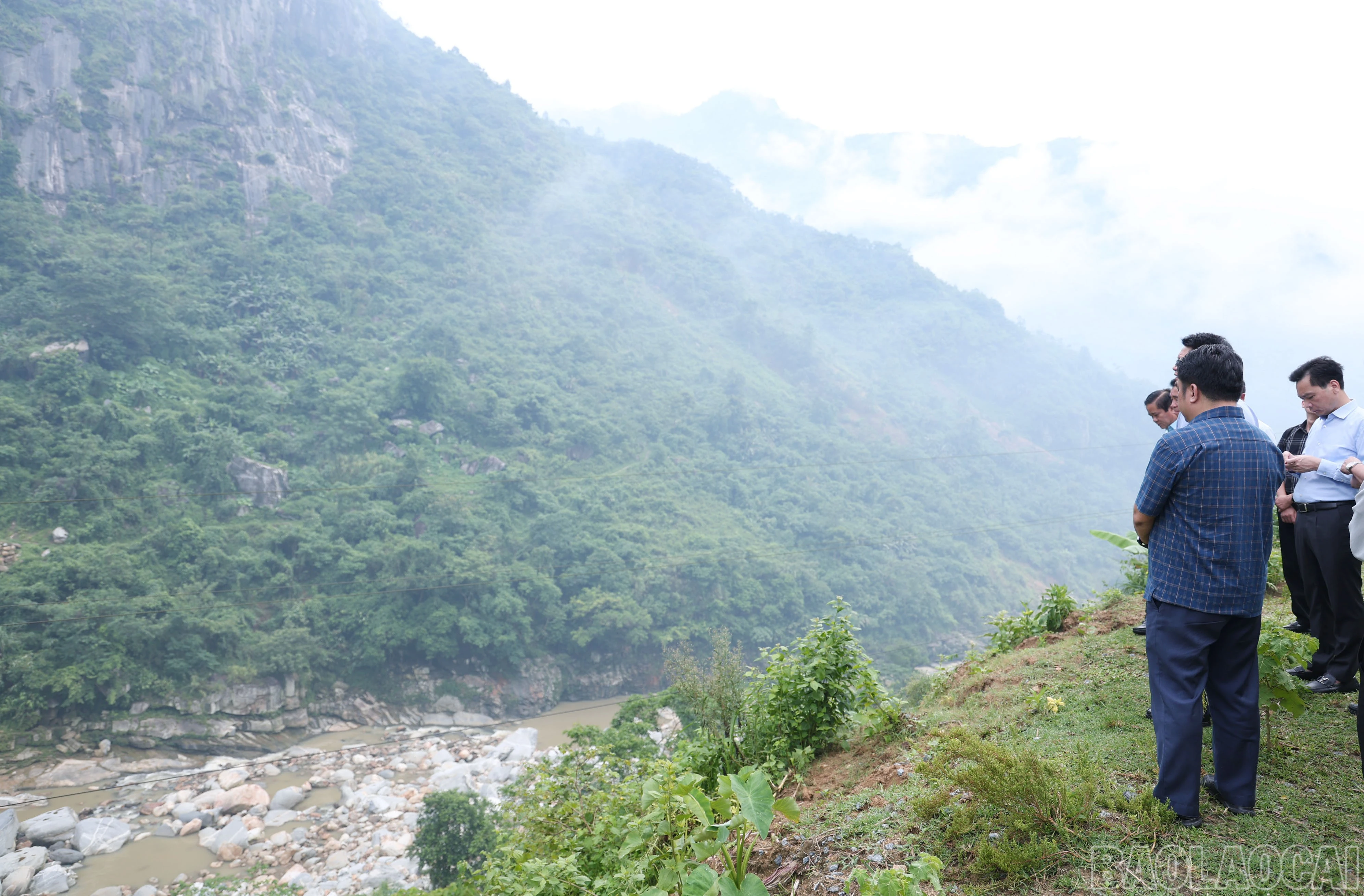 baolaocai-br_img-1089.jpg