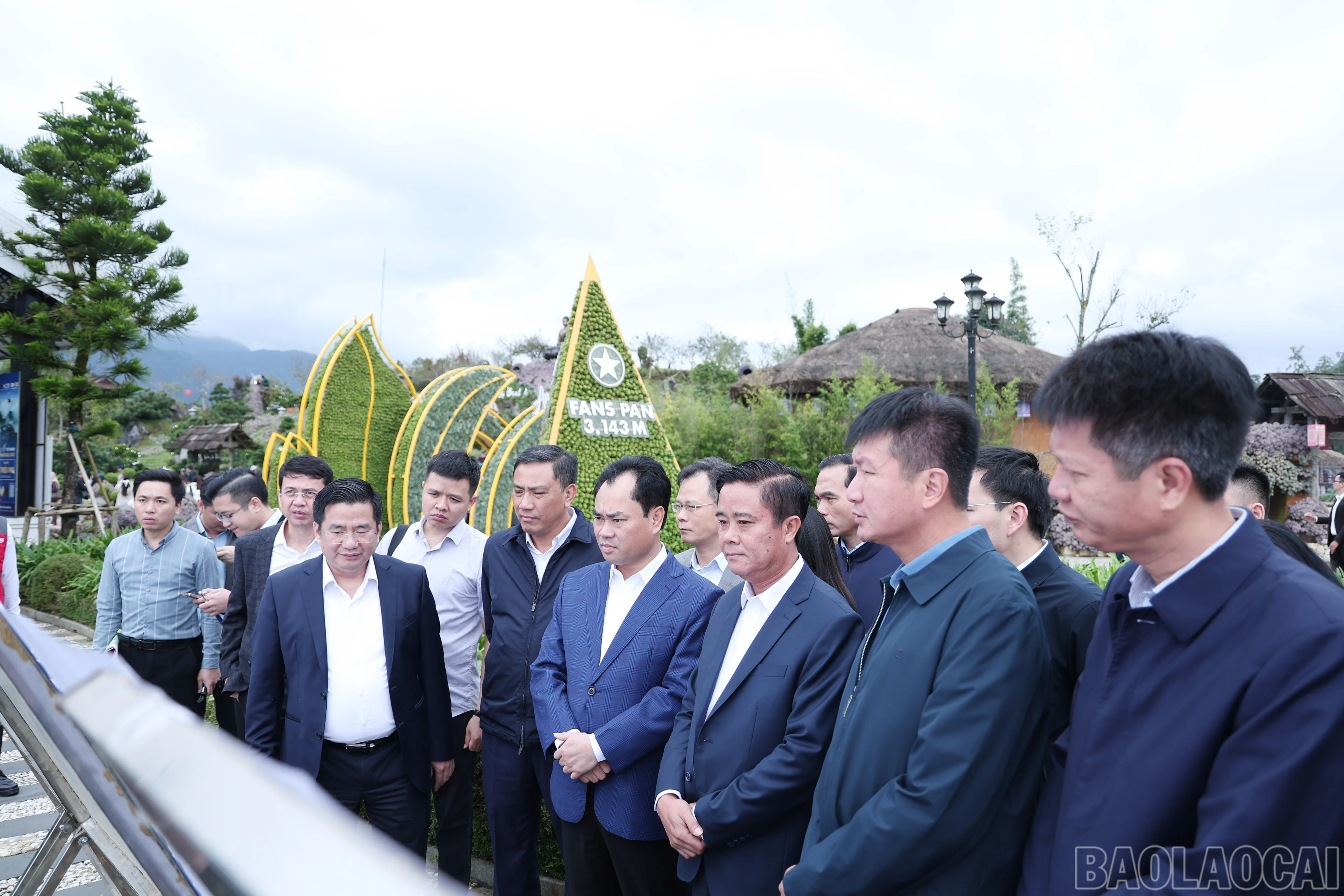 baolaocai-br_7162.jpg