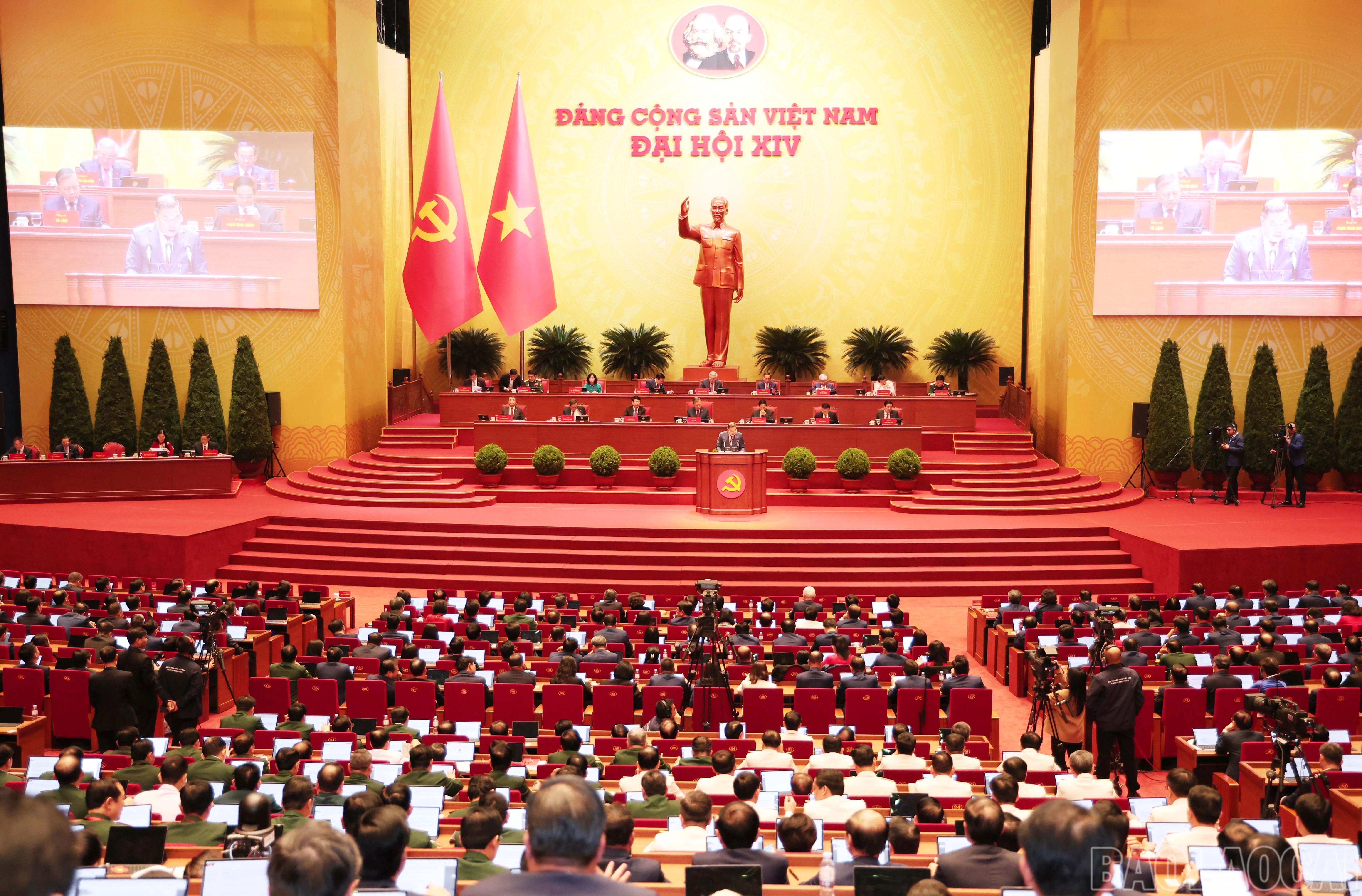 baolaocai-br_img-6837.jpg