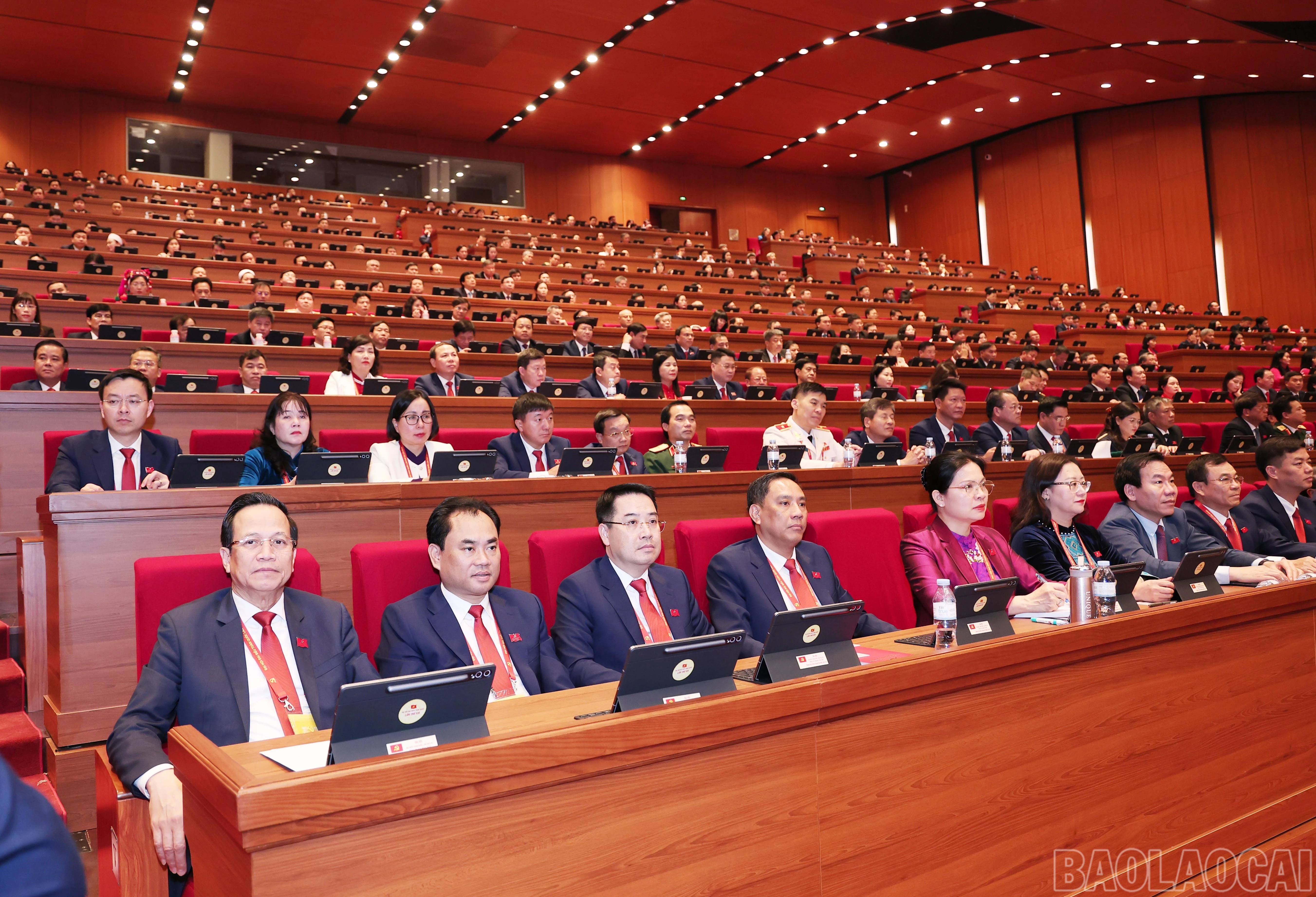 baolaocai-br_img-6582.jpg