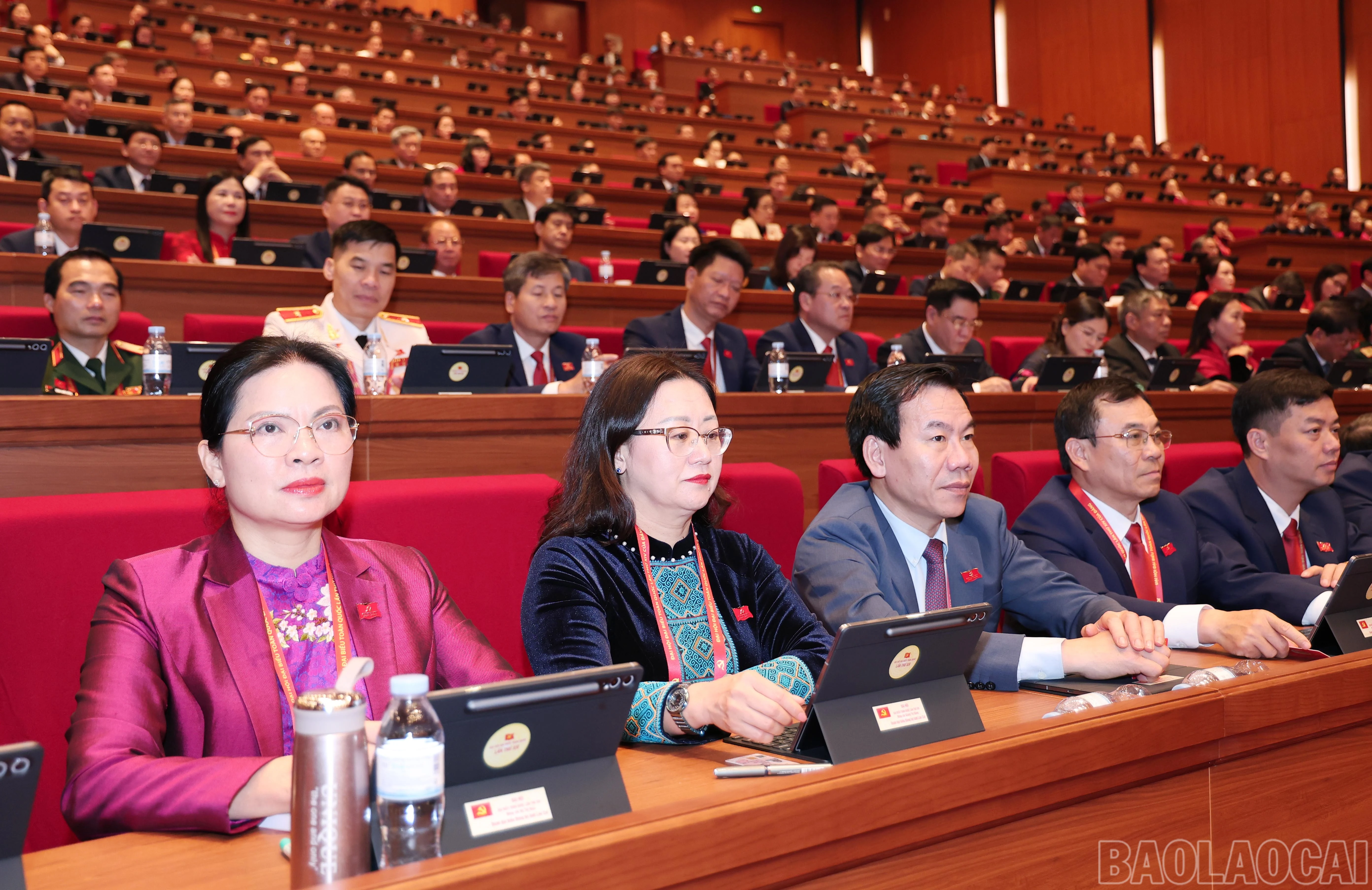 baolaocai-br_img-6629.jpg