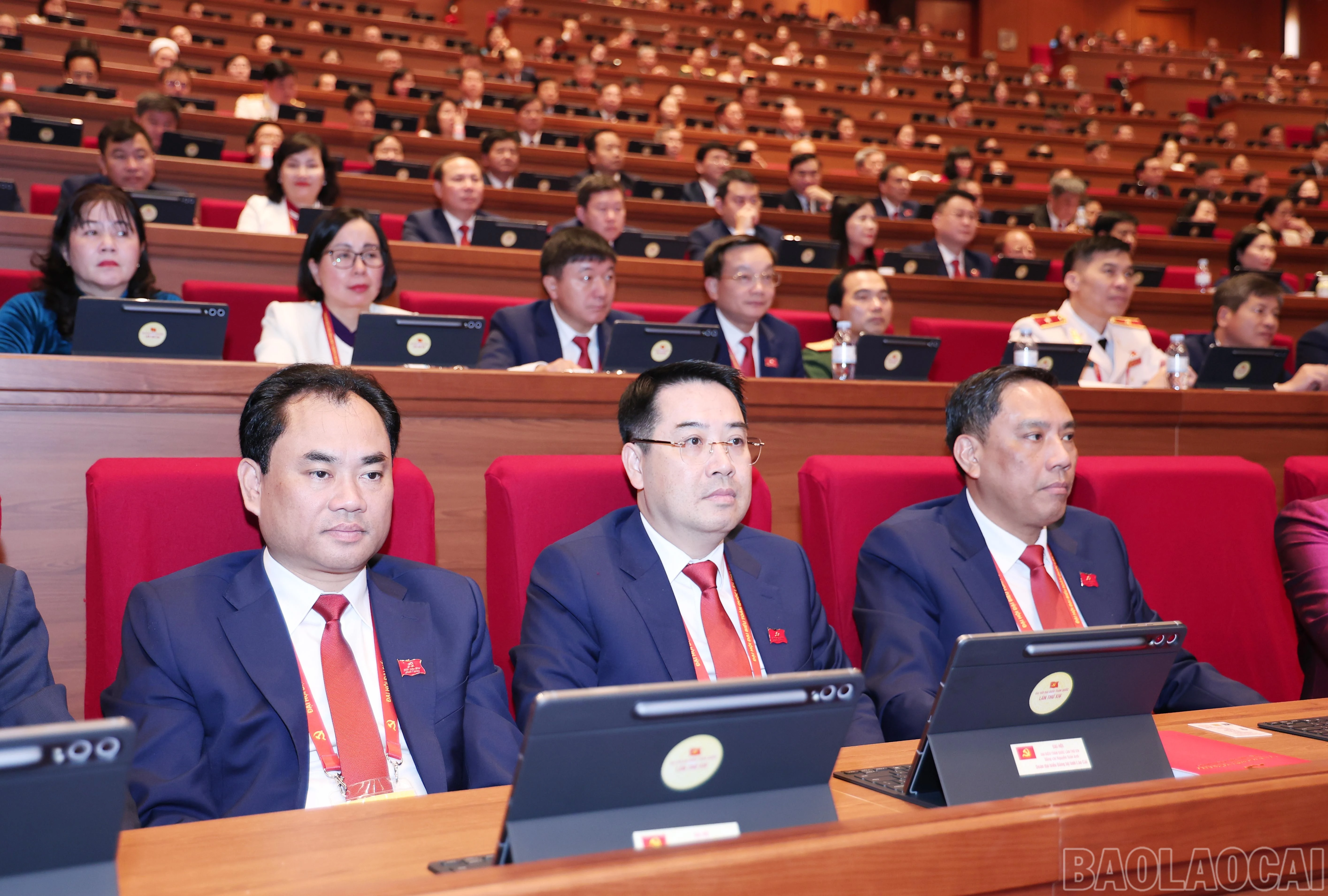baolaocai-br_img-6600.jpg