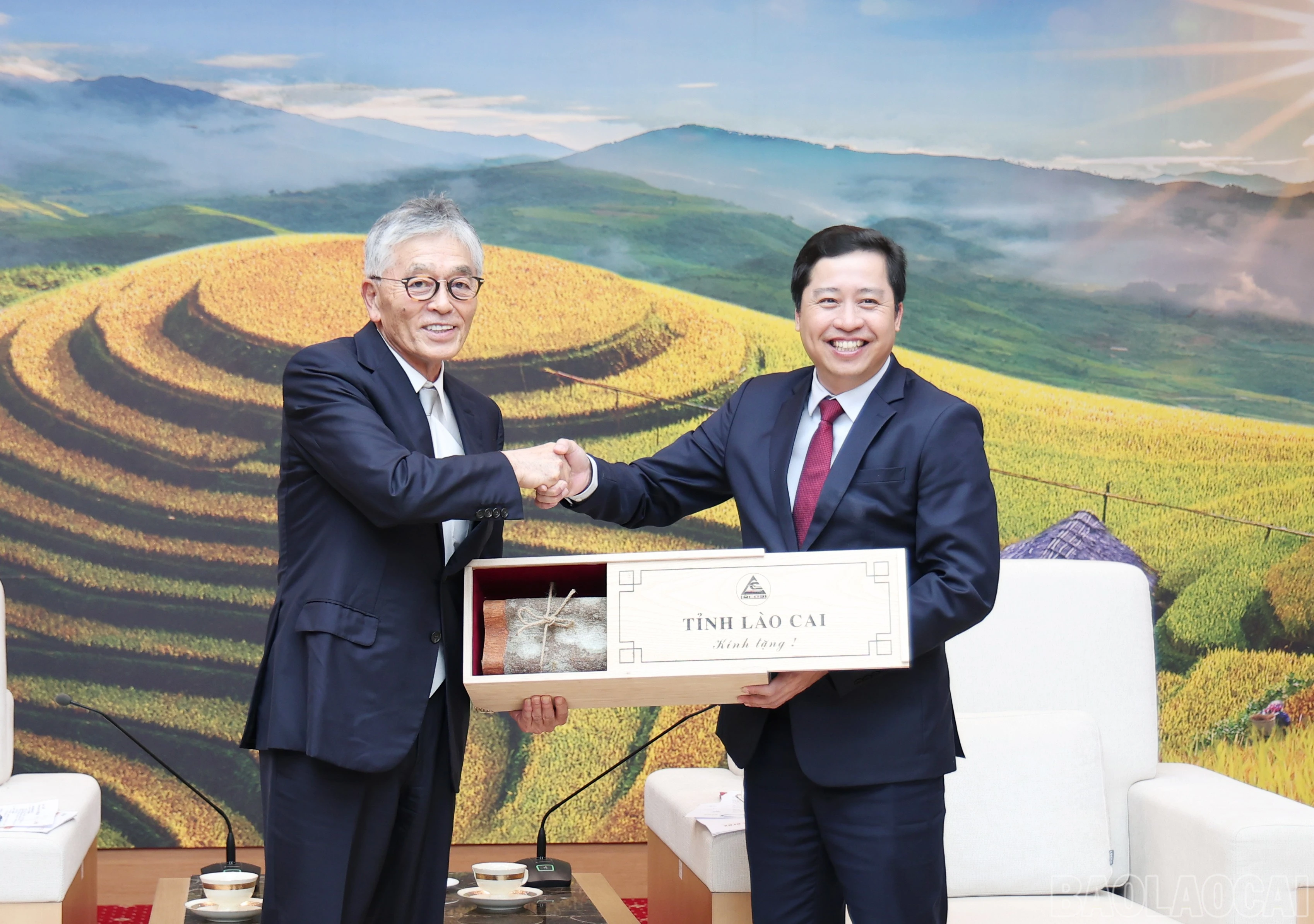 baolaocai-br_3764.jpg