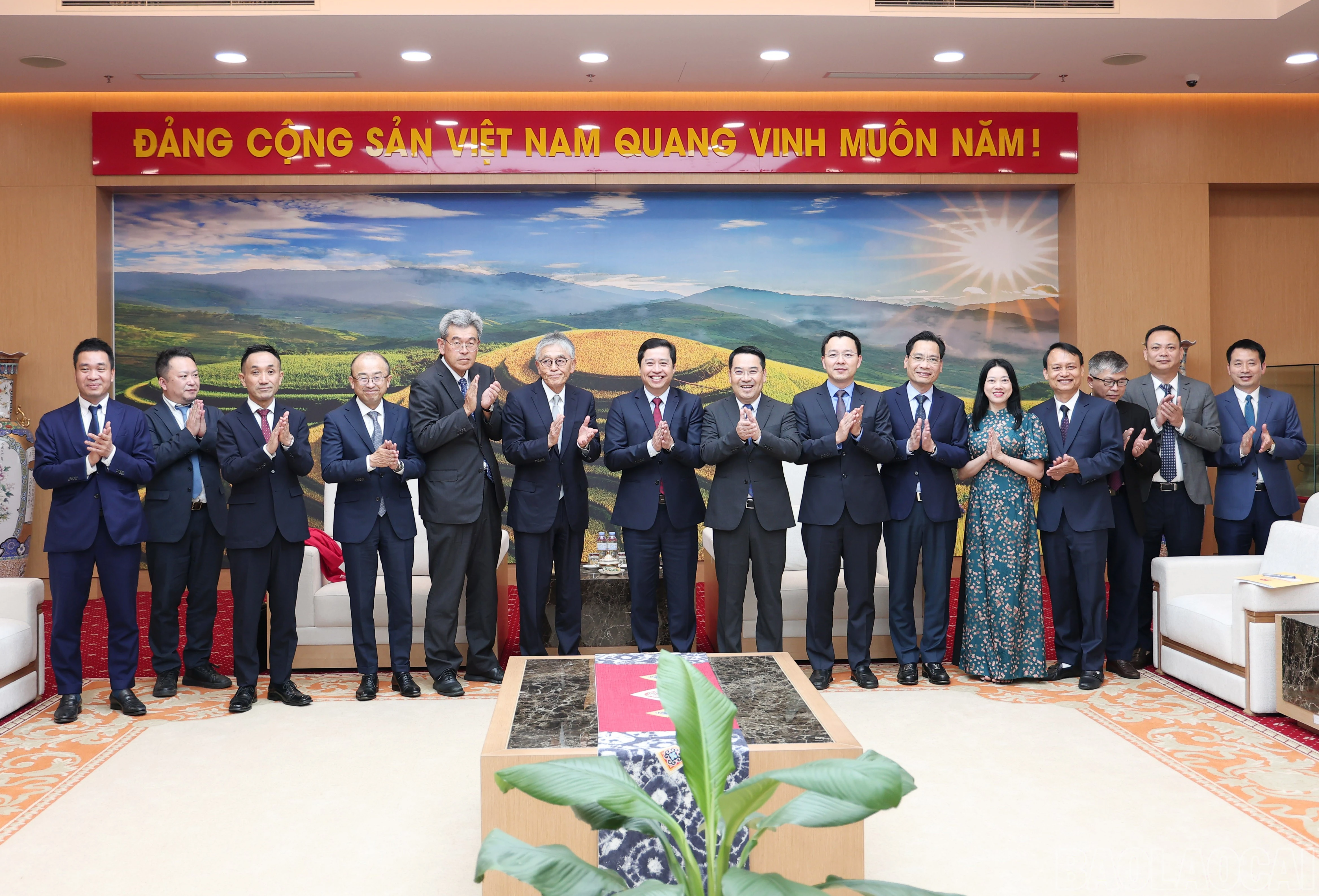baolaocai-br_8321.jpg