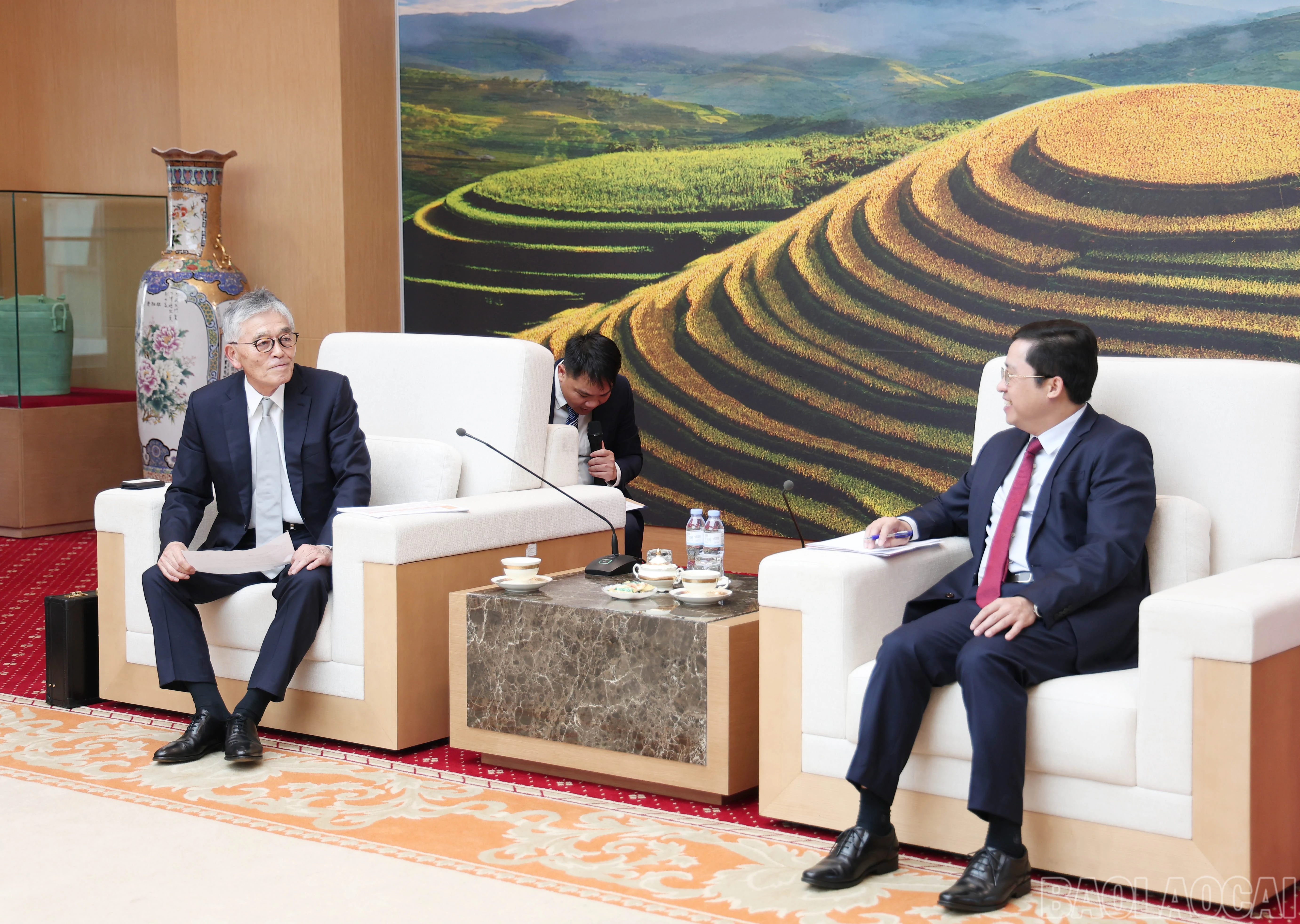 baolaocai-br_img-3697.jpg