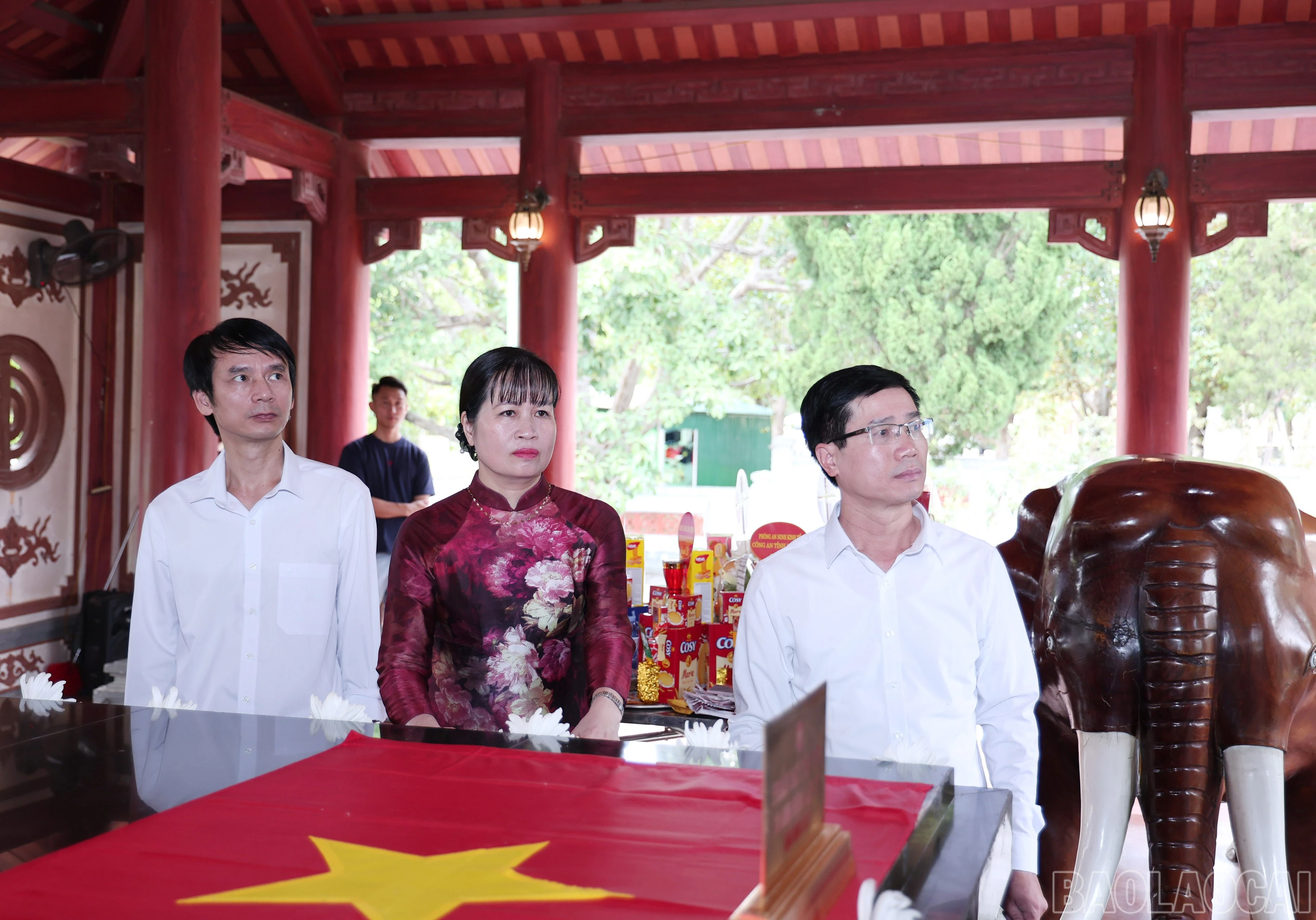 baolaocai-br_img-0784.jpg