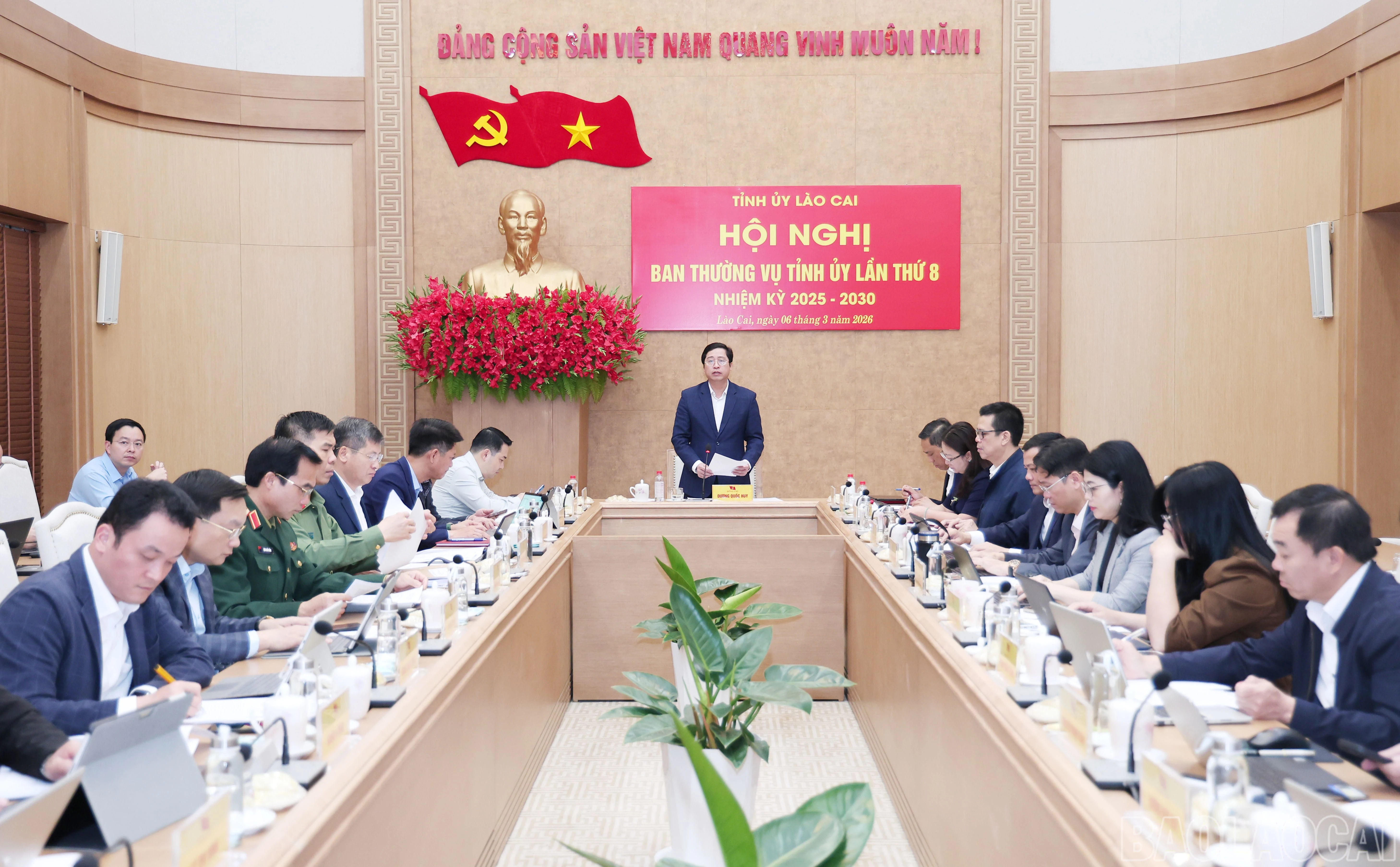 baolaocai-br_img-0116.jpg