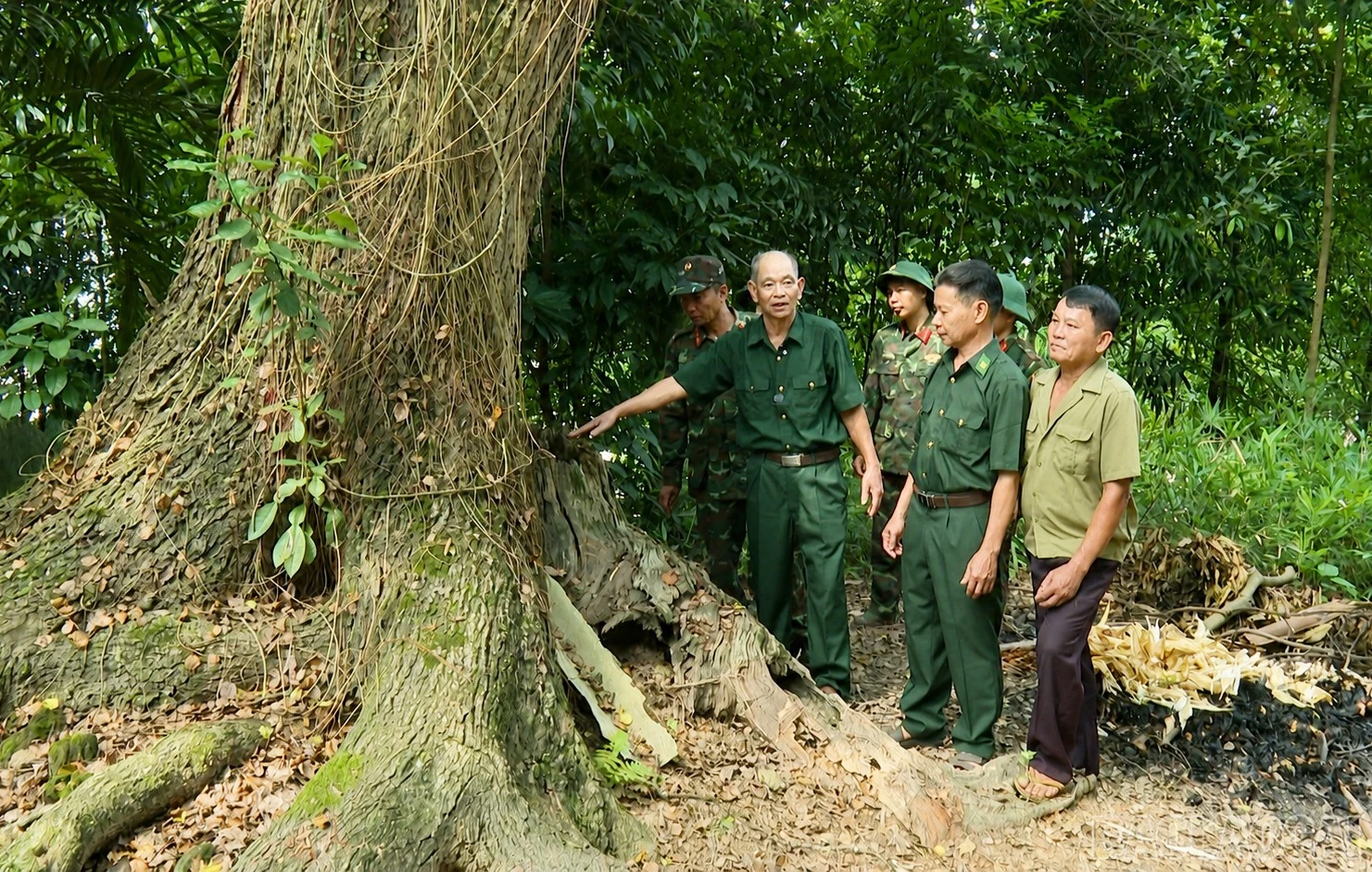 baolaocai-br_1.jpg